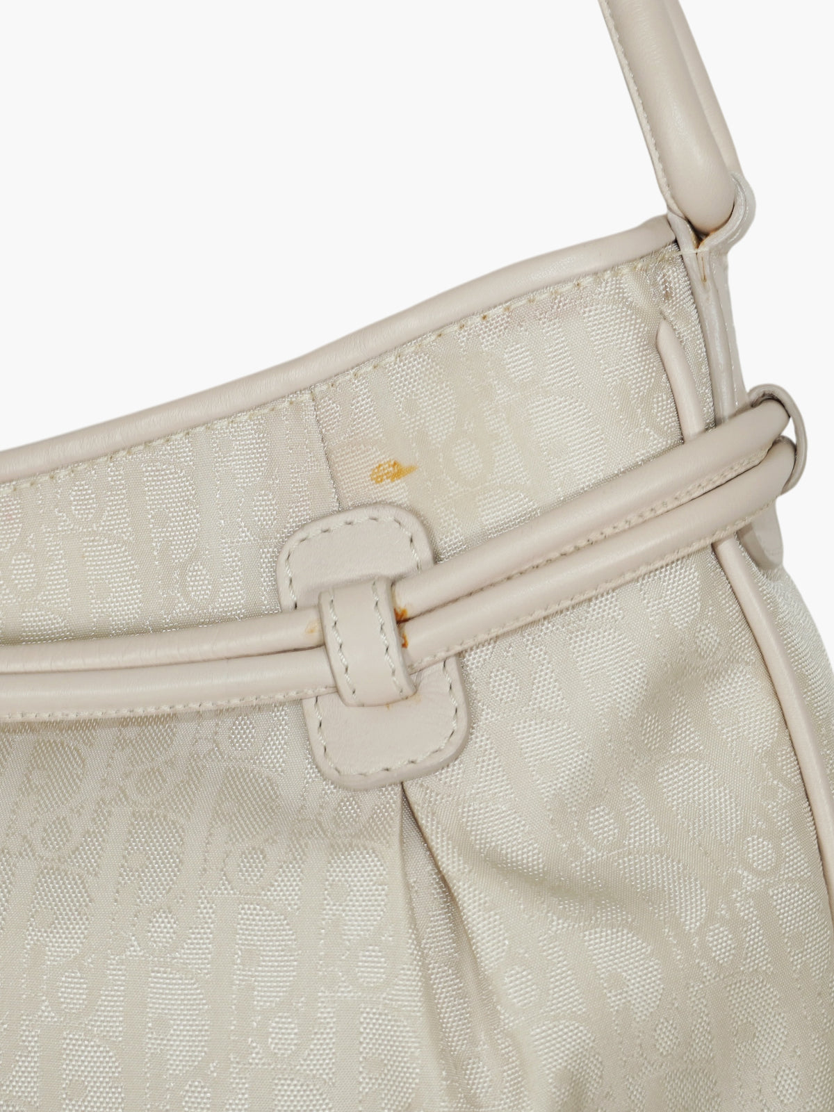 Oblique Diorissimo Bag