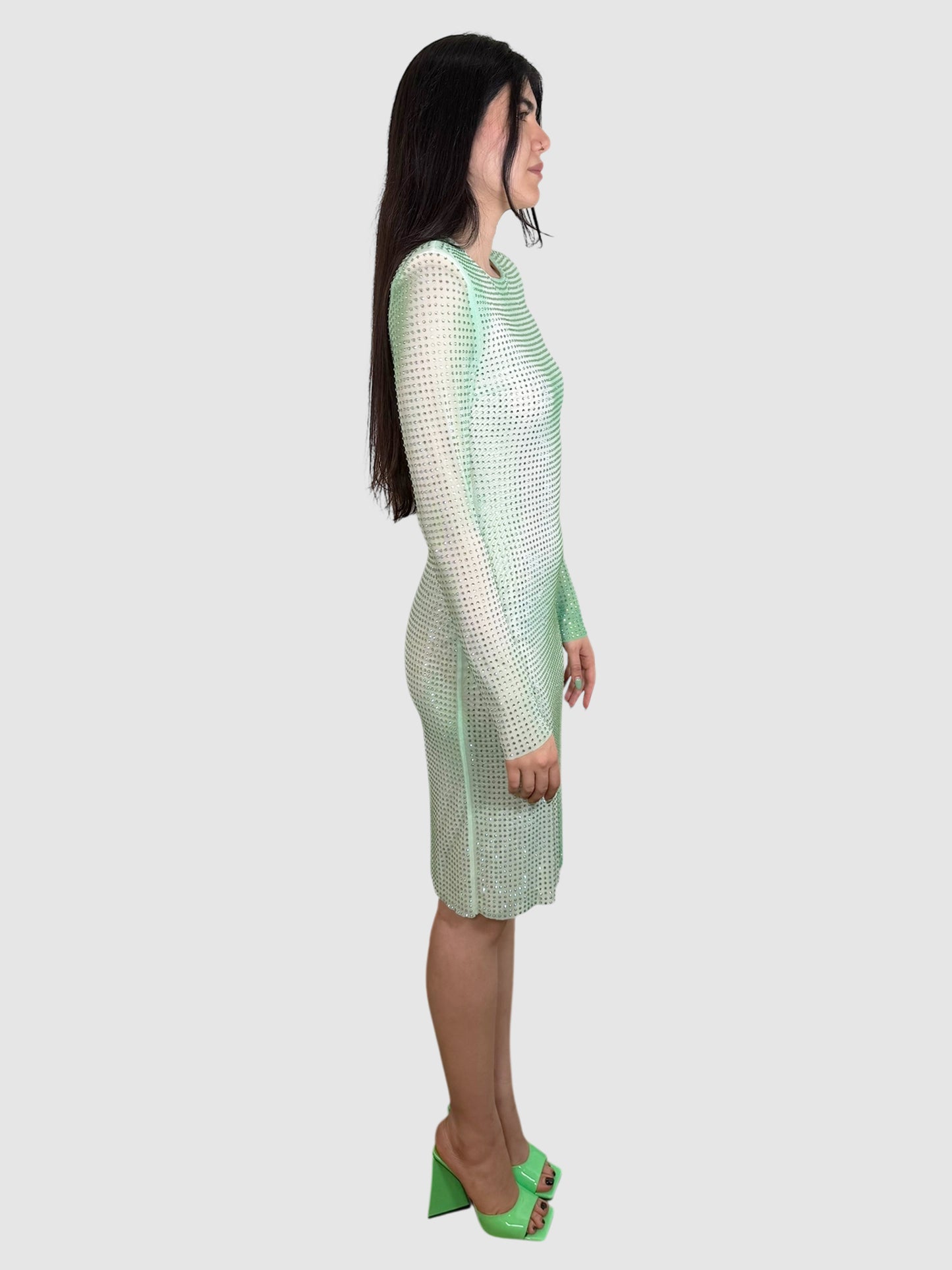 Embellished Gradient Dress