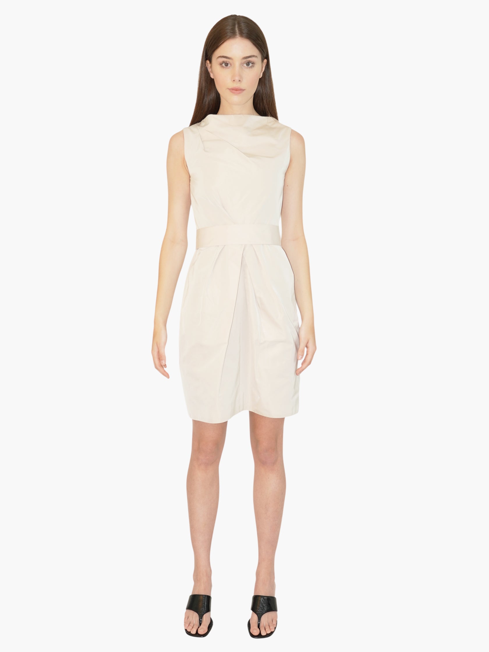Cinched Silk Dress