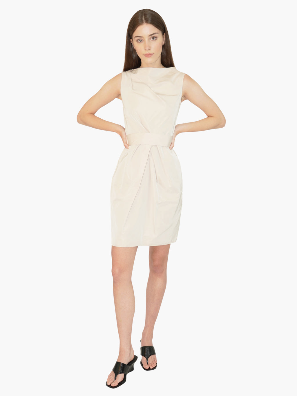 Cinched Silk Dress