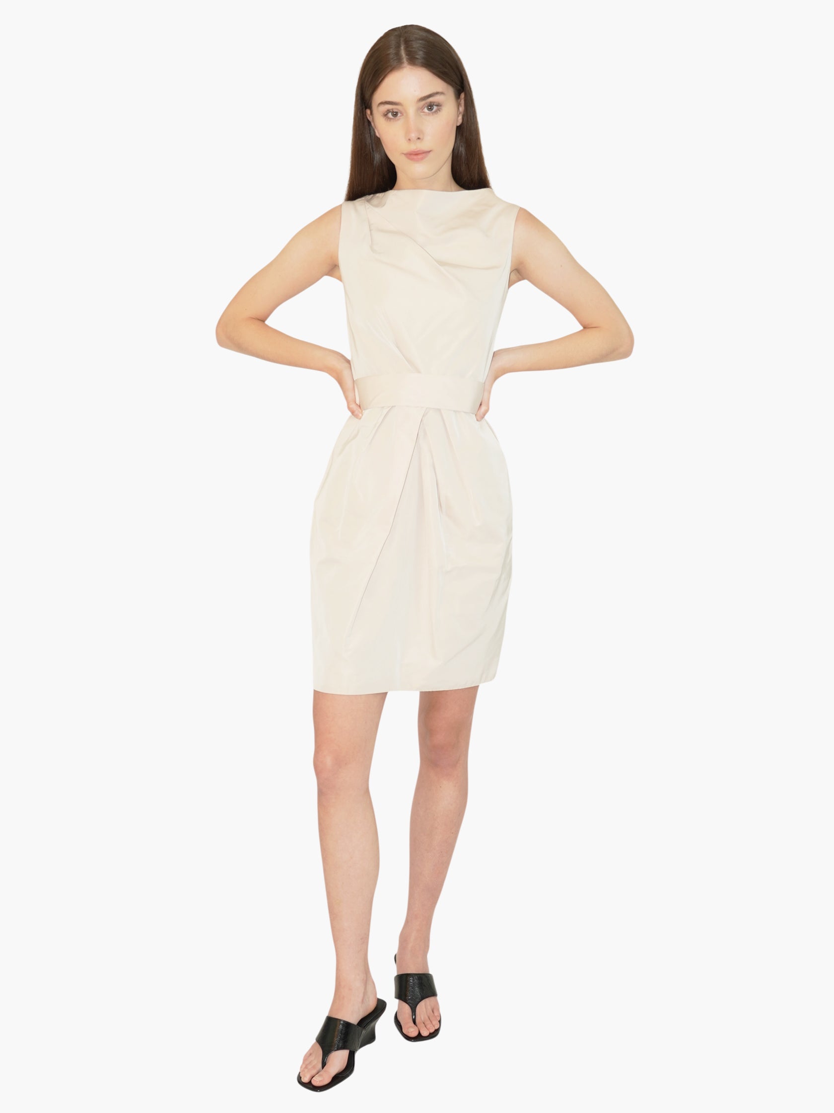 Cinched Silk Dress