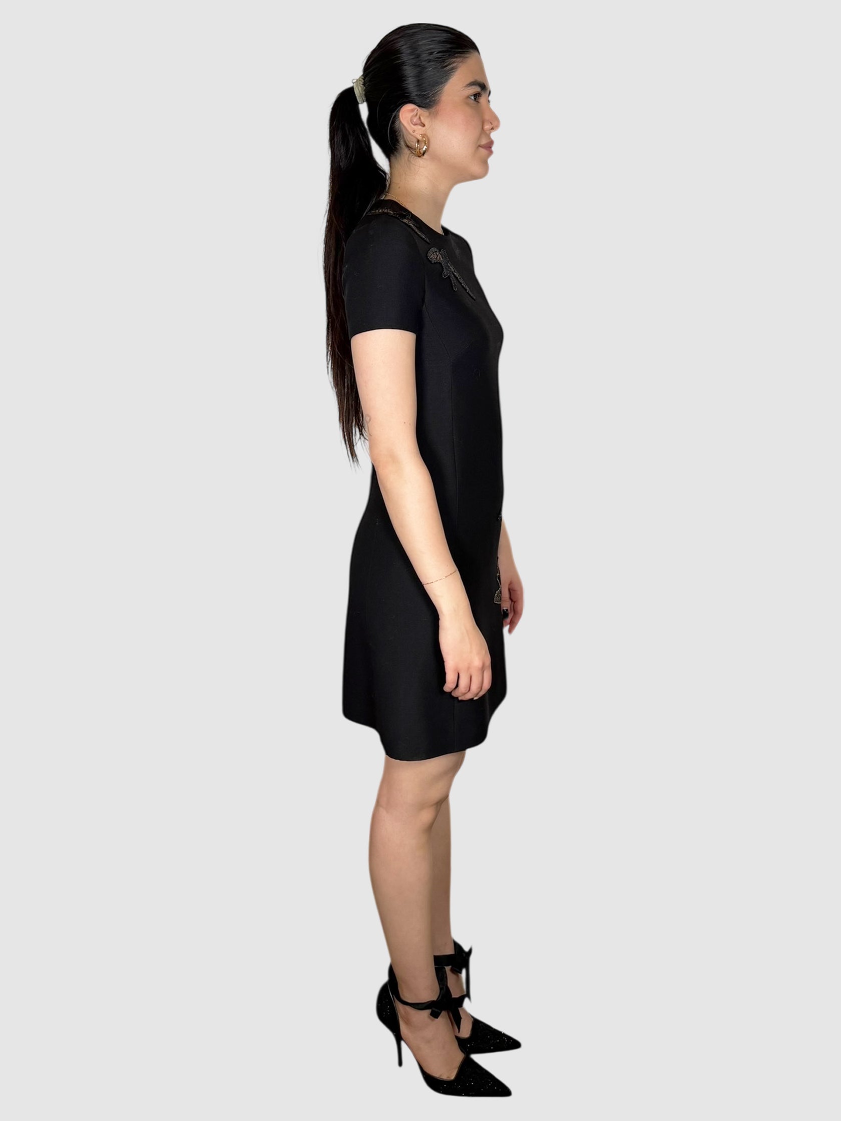 Bird Embroidered Dress