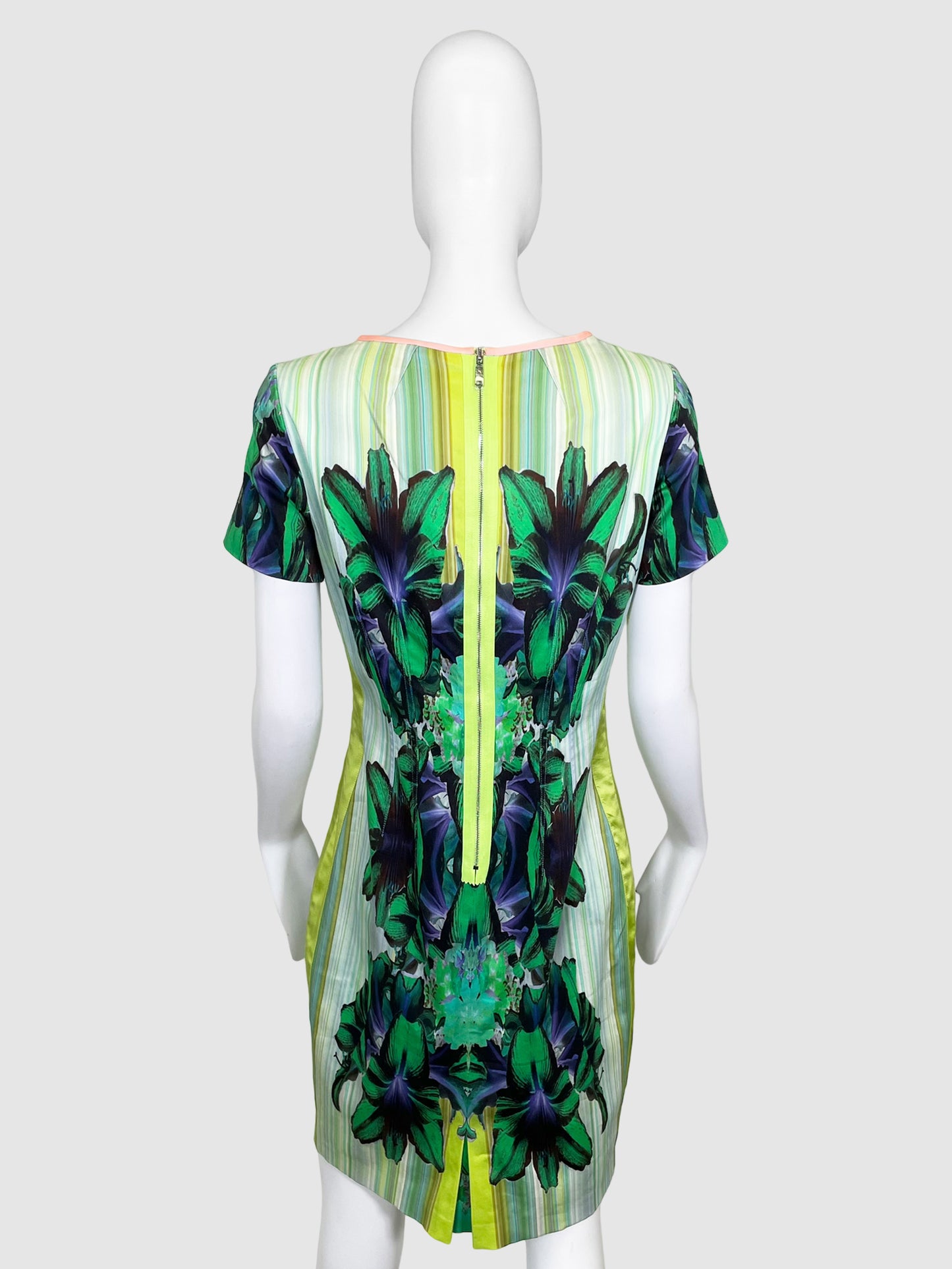 Elie Tahari Floral Abstract Print Dress - Size 10