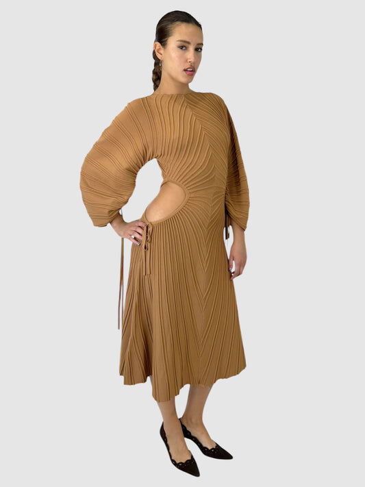 Simena Midi Dress