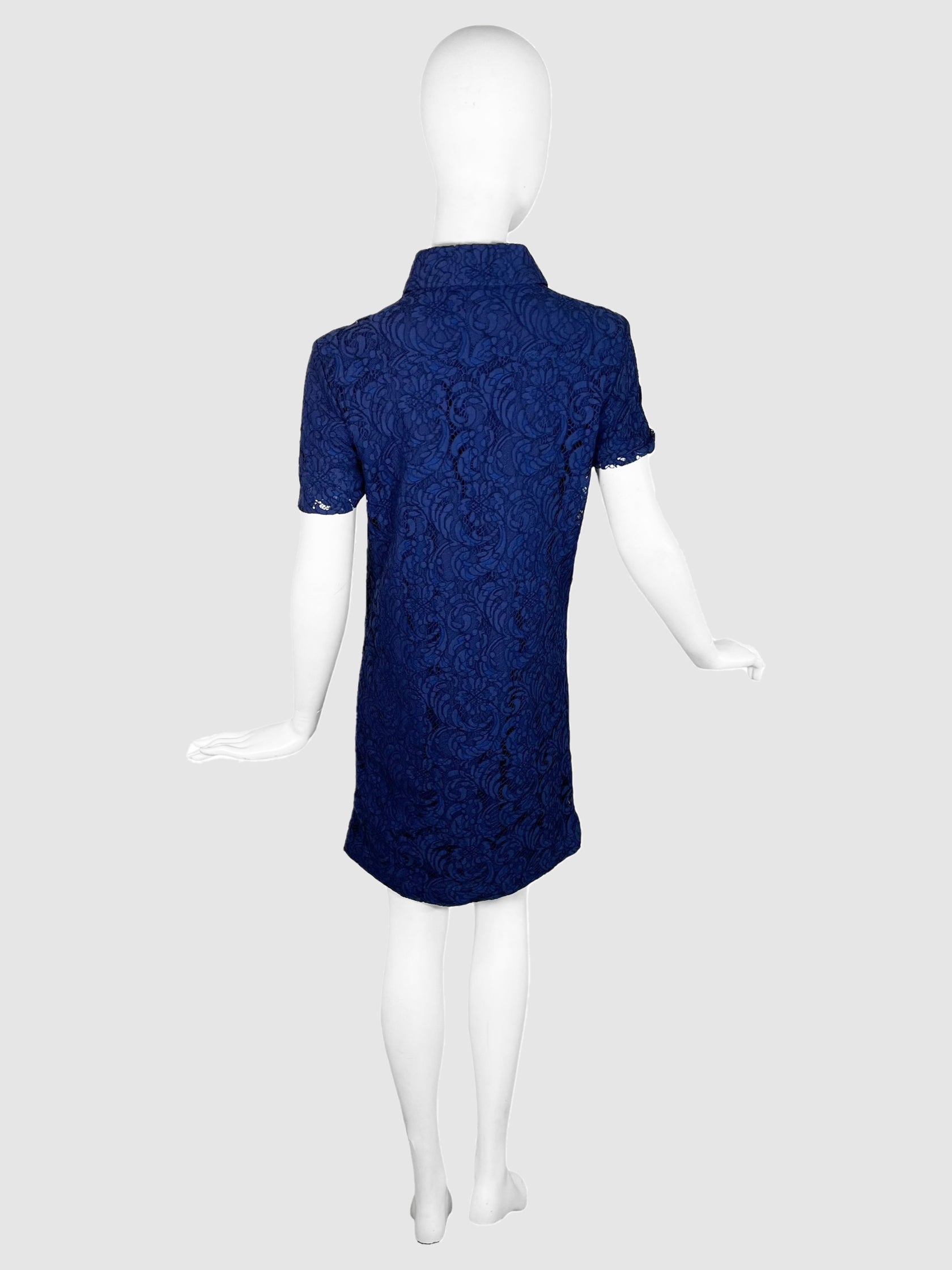 Lace Button-Up Dress - Size 6