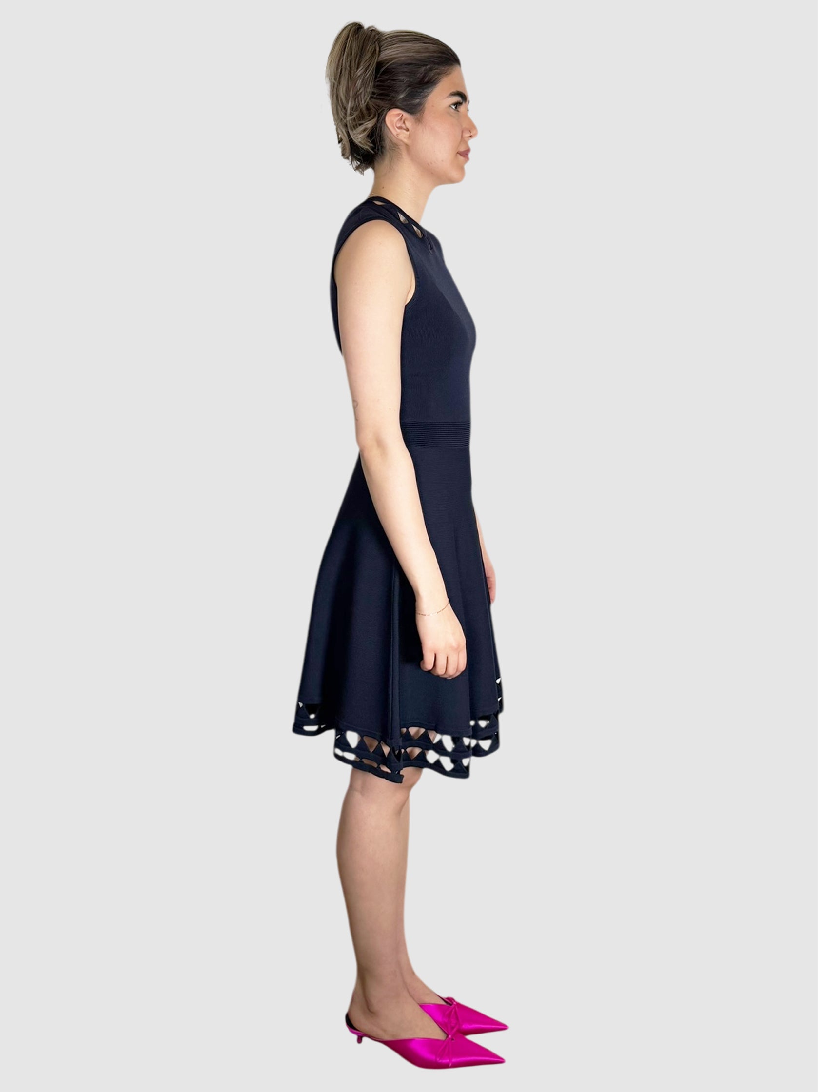 Kathryn Skater Dress