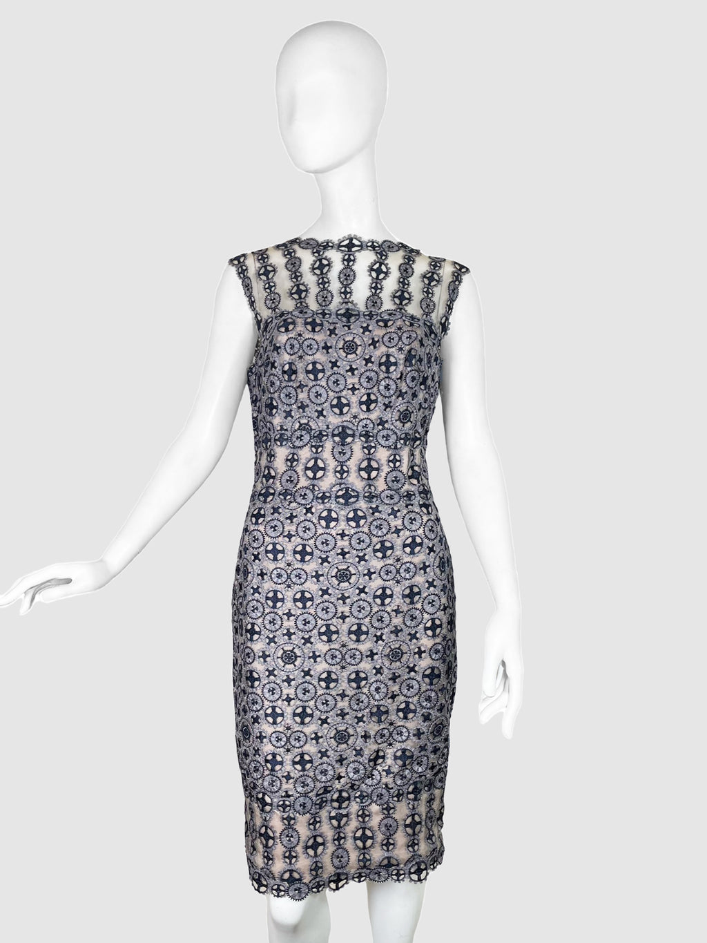Tadashi Shoji Lace Mesh Bower Dress - Size 12
