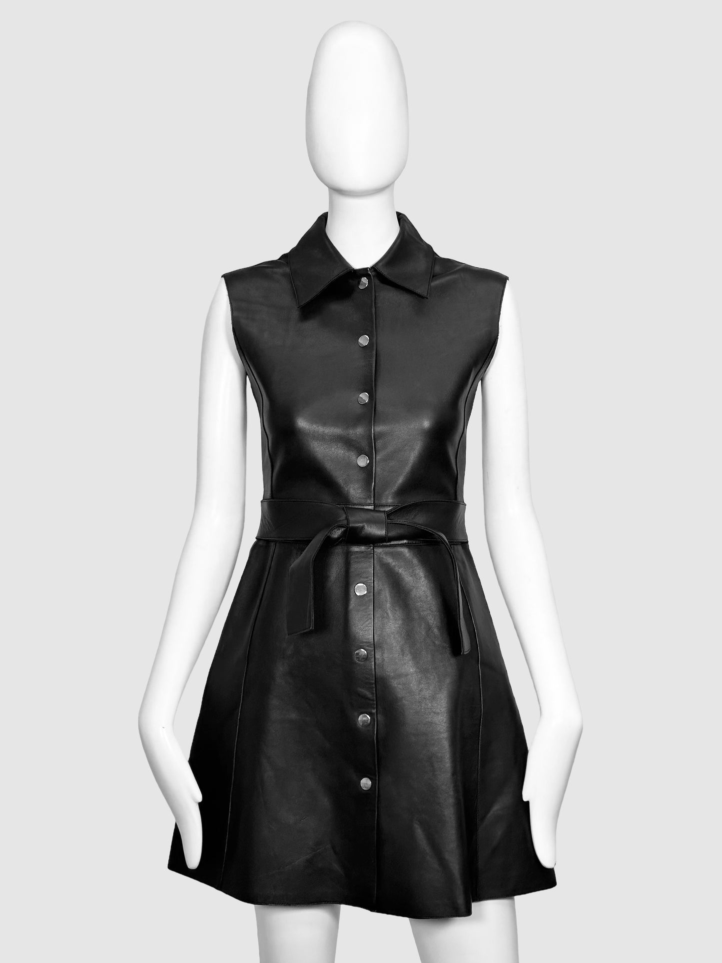 Maje Sleeveless Leather Button-Up Dress - Size 1