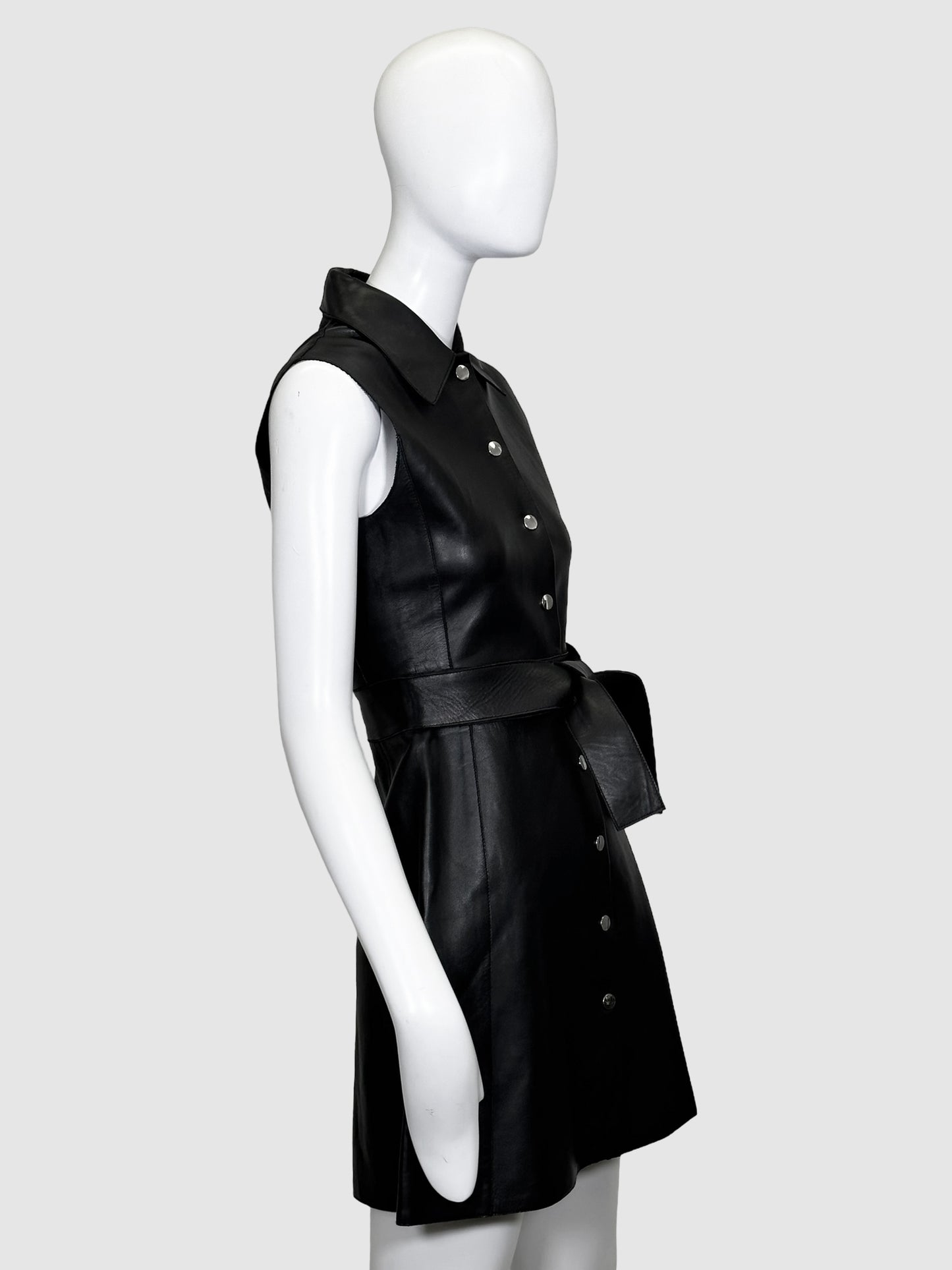 Maje Sleeveless Leather Button-Up Dress - Size 1