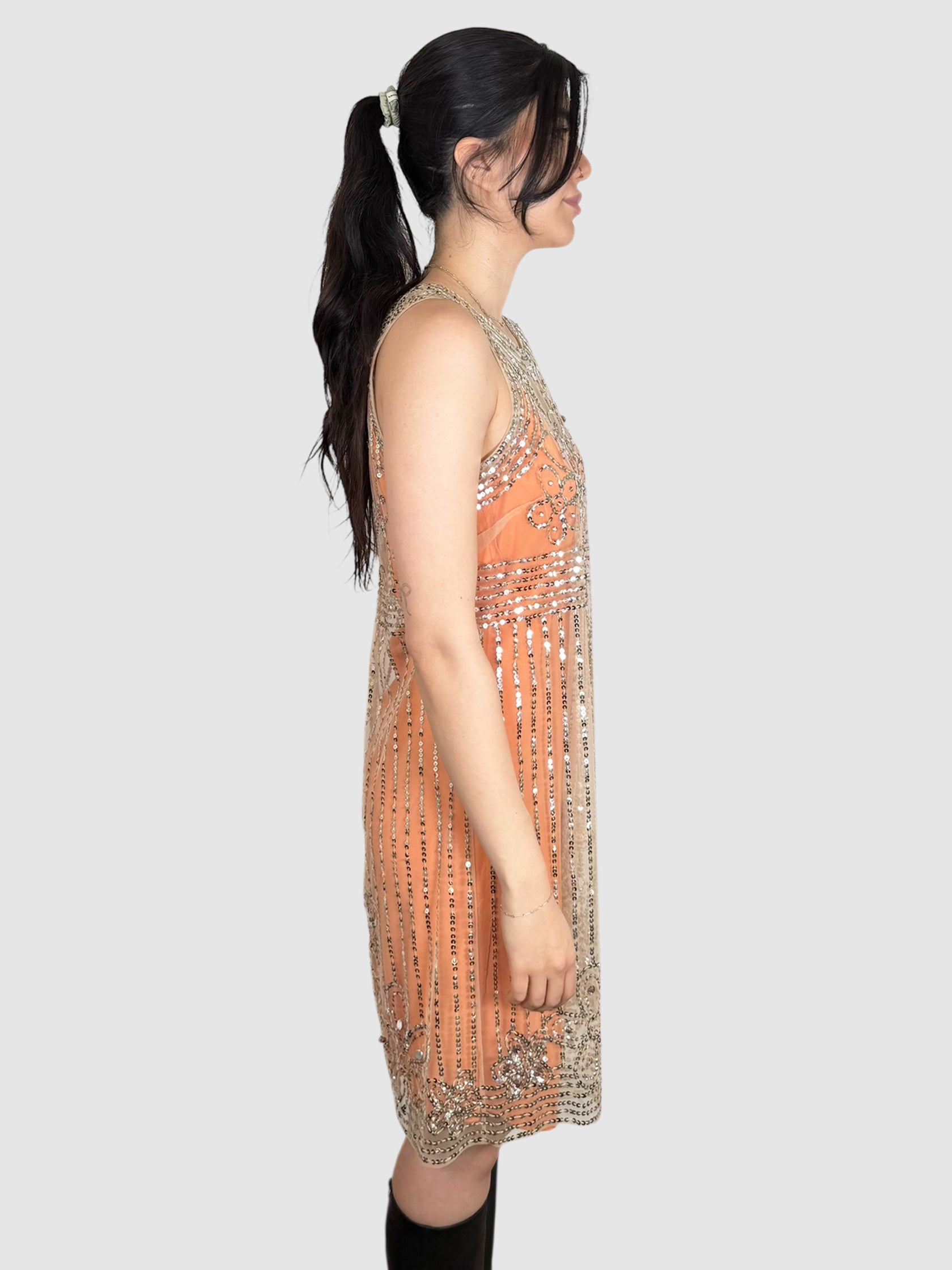 Mesh Sequin Dress