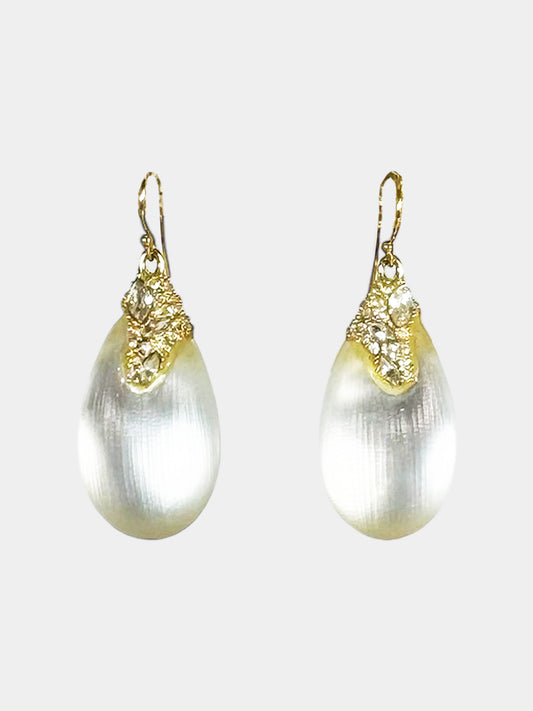 Lucite Drop Earrings