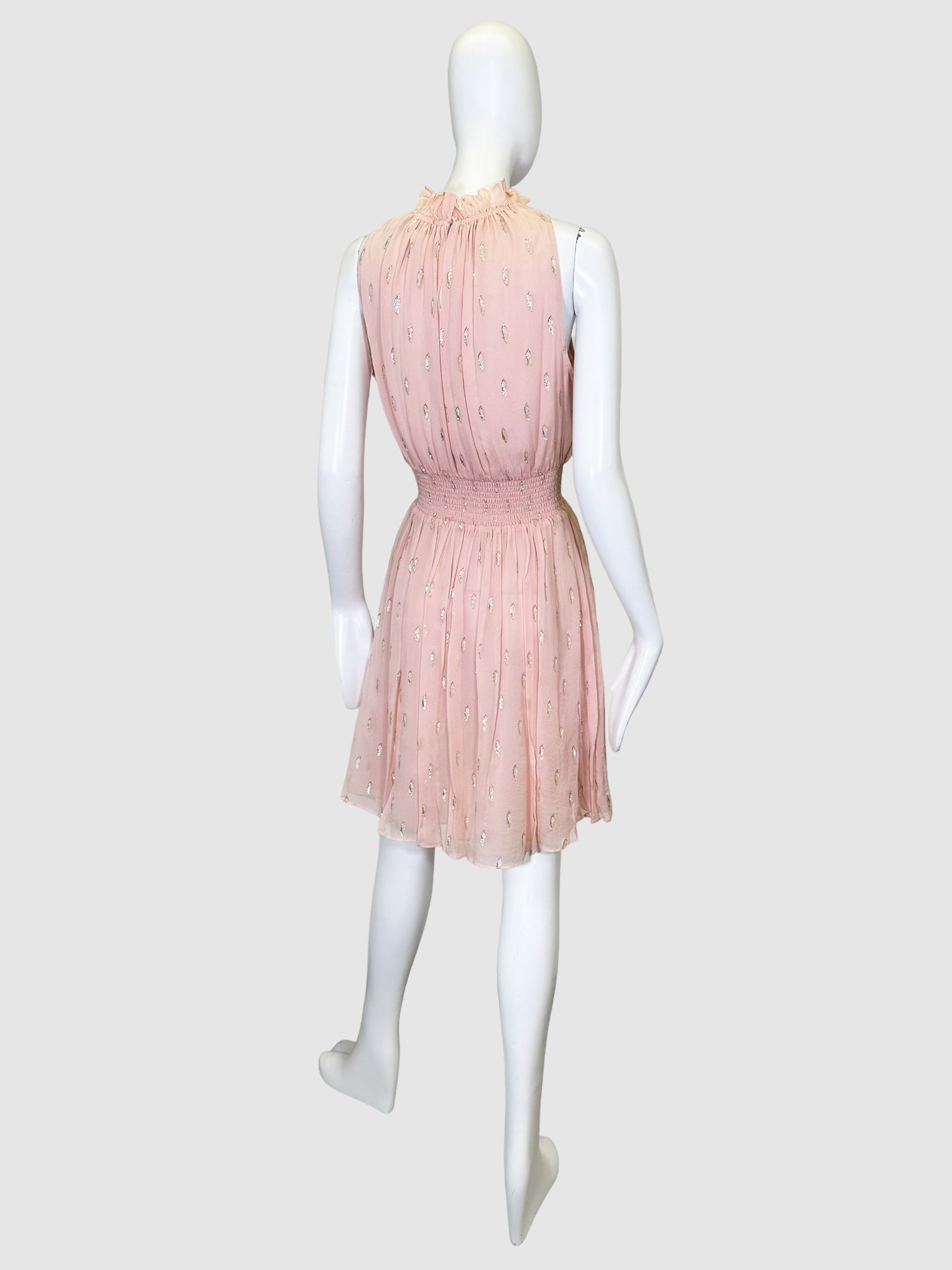 Rebecca Taylor Sheer Sleeveless Dress - Size 4