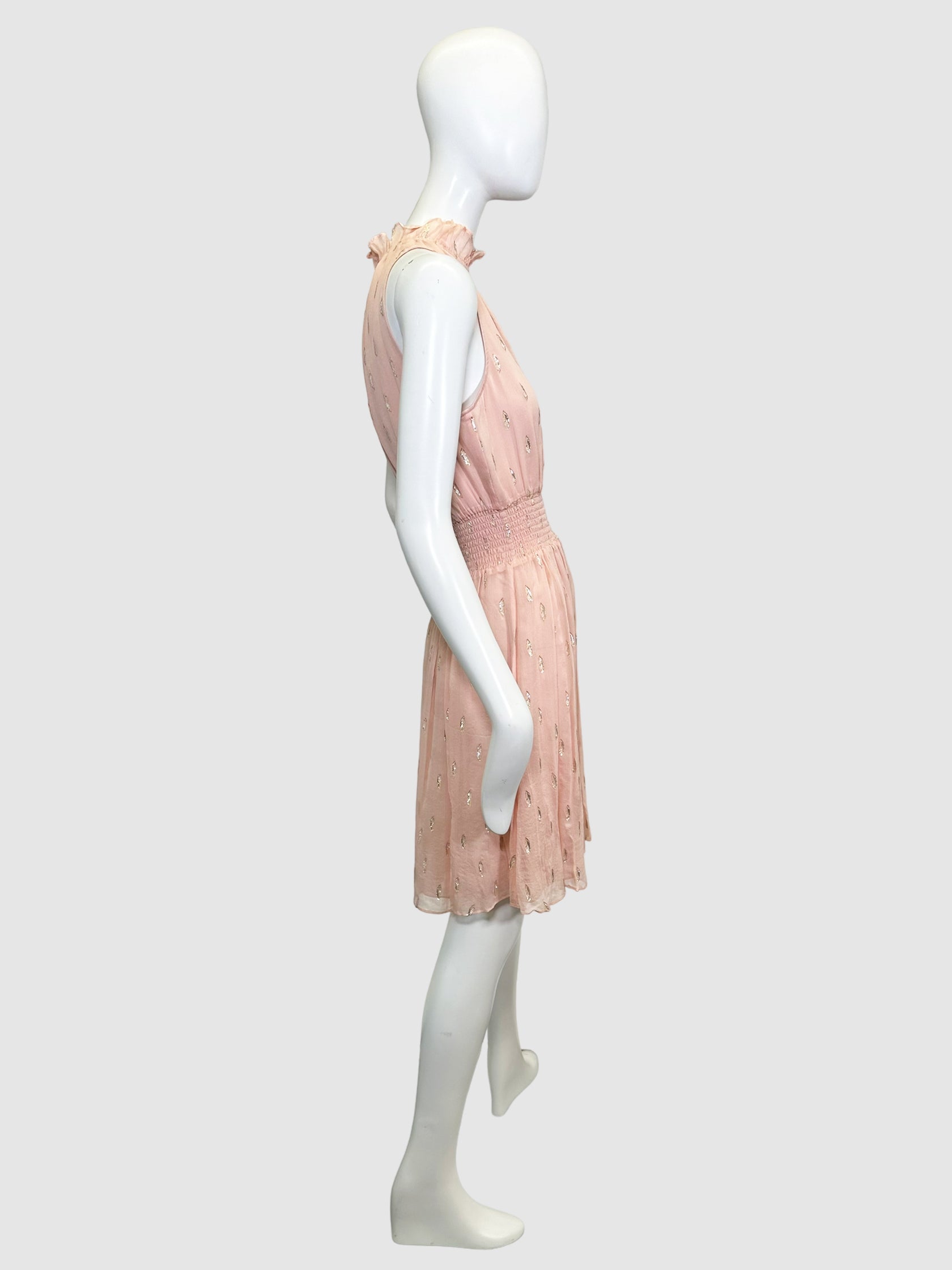 Rebecca Taylor Sheer Sleeveless Dress - Size 4