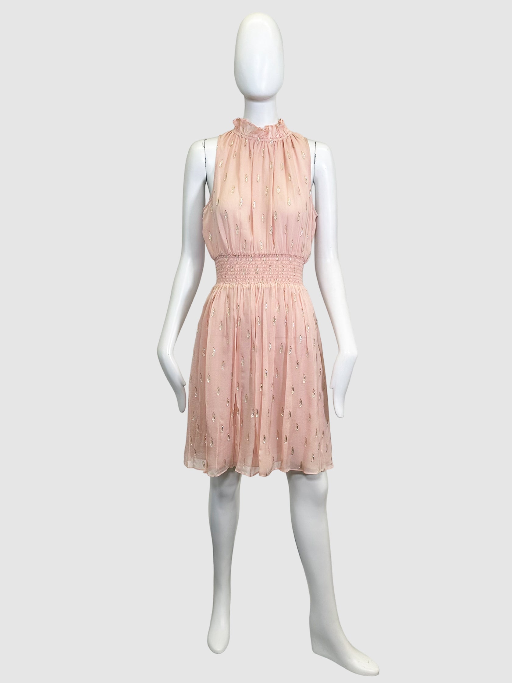 Rebecca Taylor Sheer Sleeveless Dress - Size 4