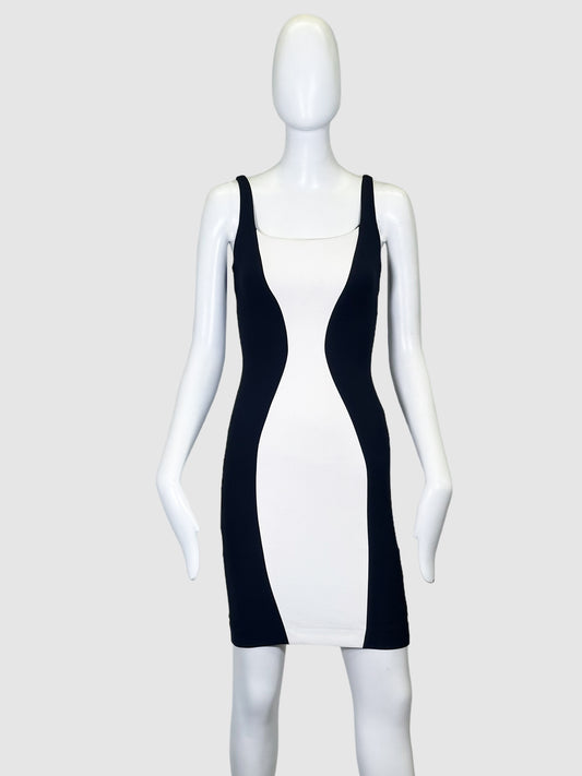 Sleeveless Fitted Dress - Size 0