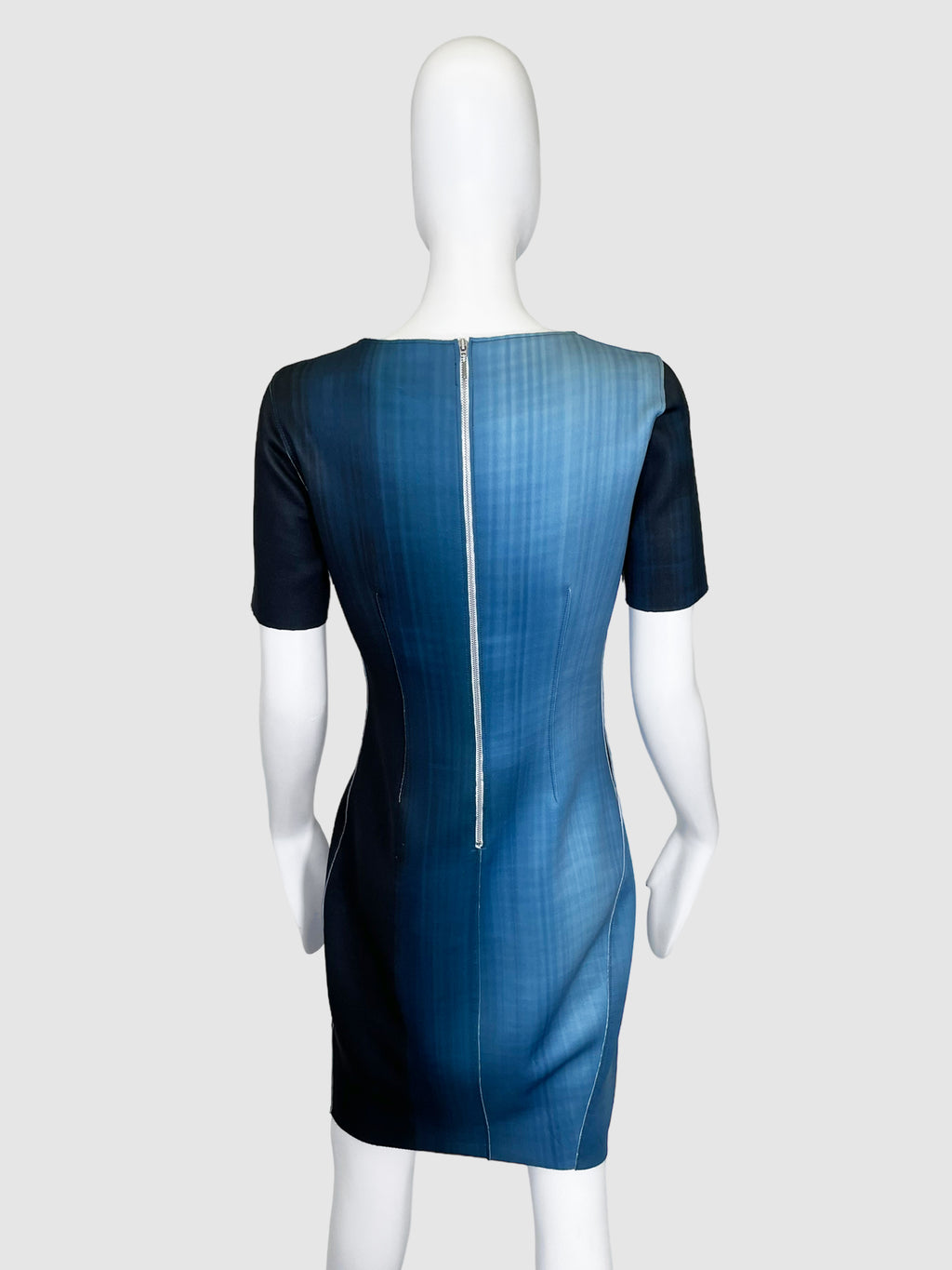 Ellie Tahari Fading Tones Short-Sleeved Dress - Size 4