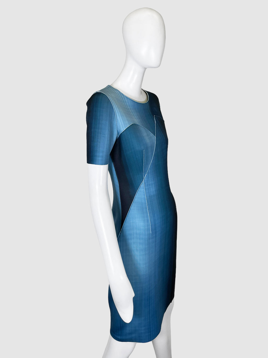 Ellie Tahari Fading Tones Short-Sleeved Dress - Size 4