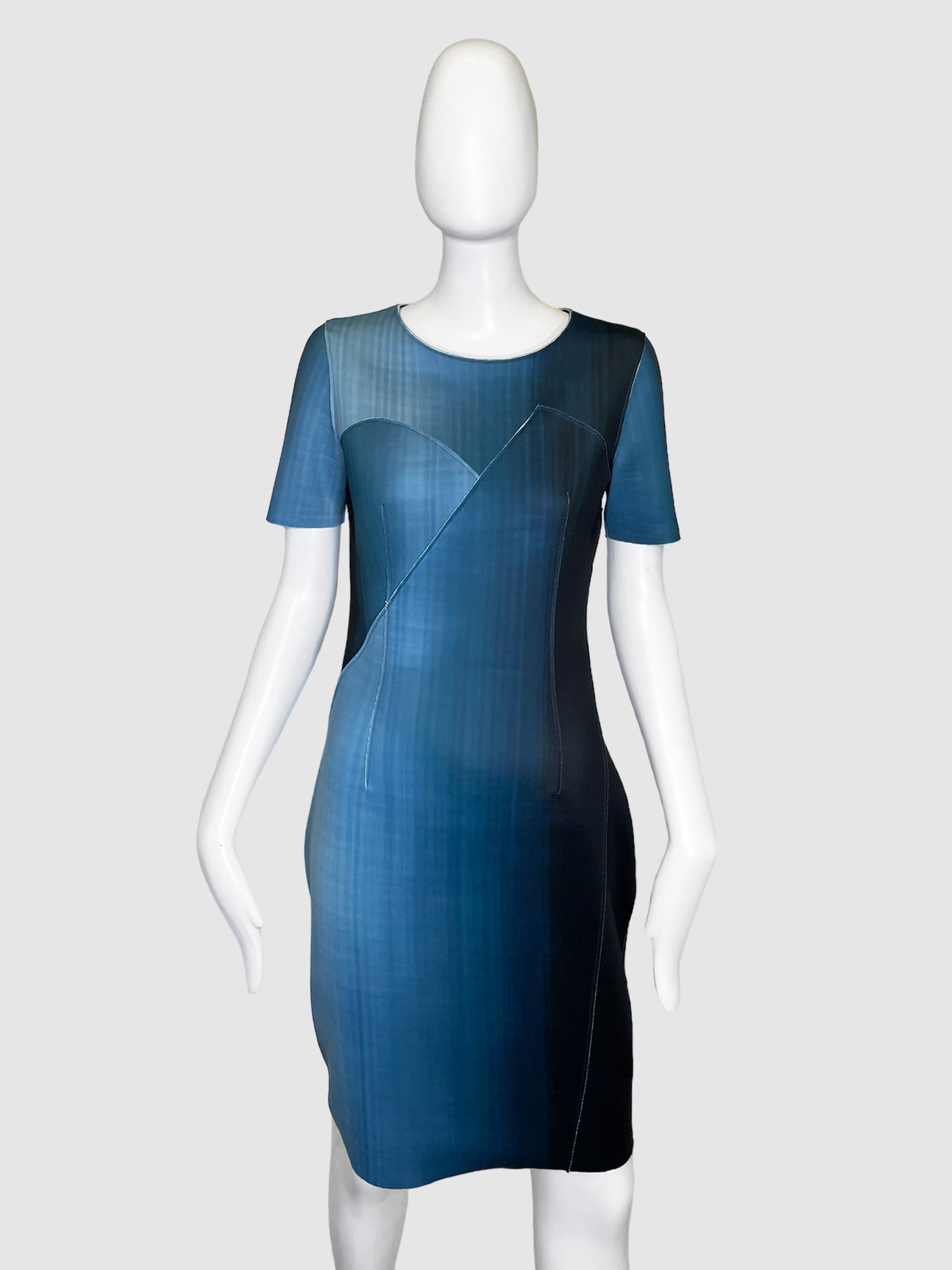 Ellie Tahari Fading Tones Short-Sleeved Dress - Size 4