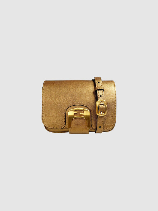 Small Chameleon Bag