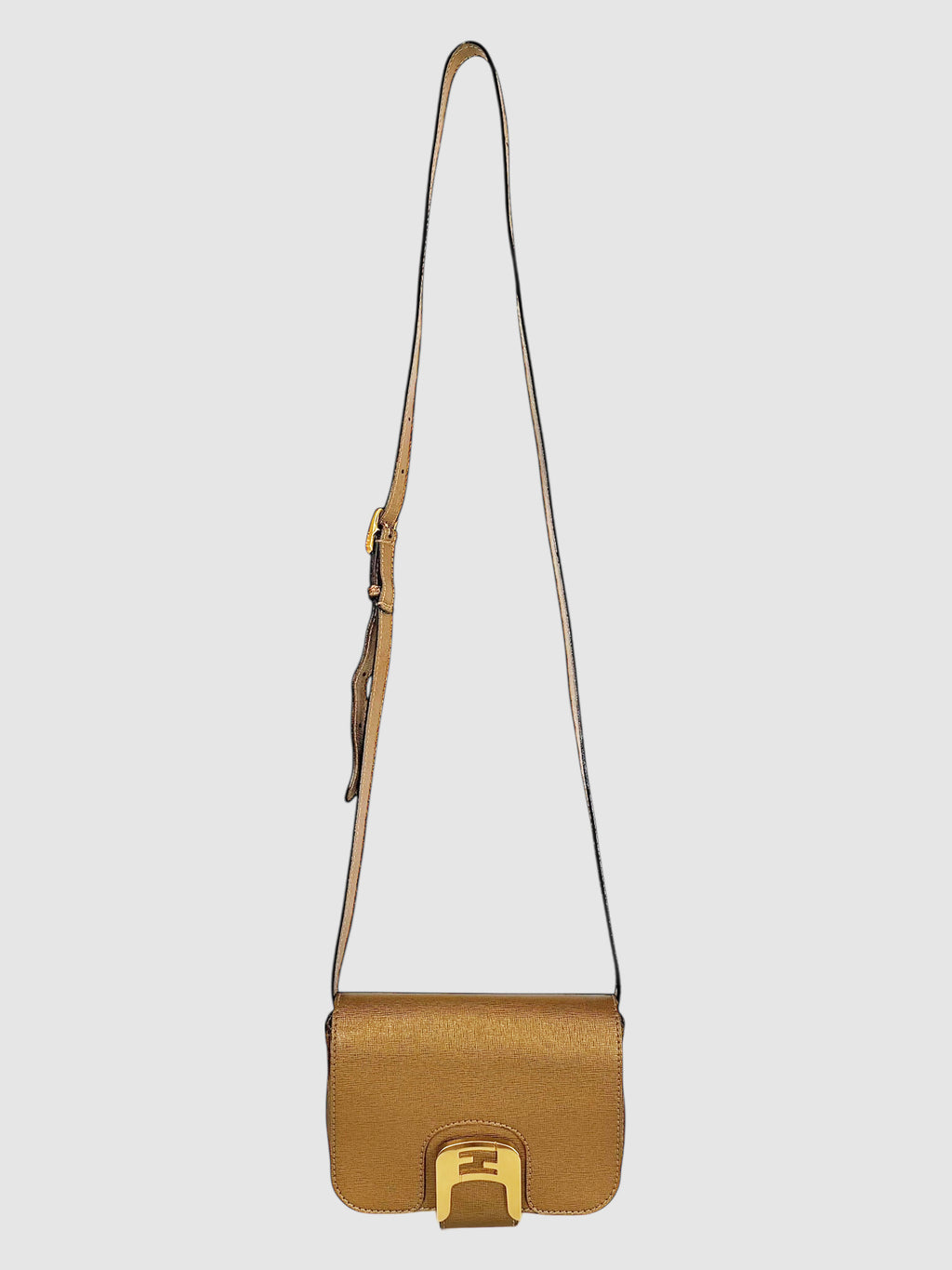 Small Chameleon Bag