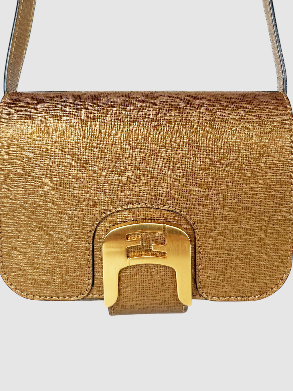 Small Chameleon Bag