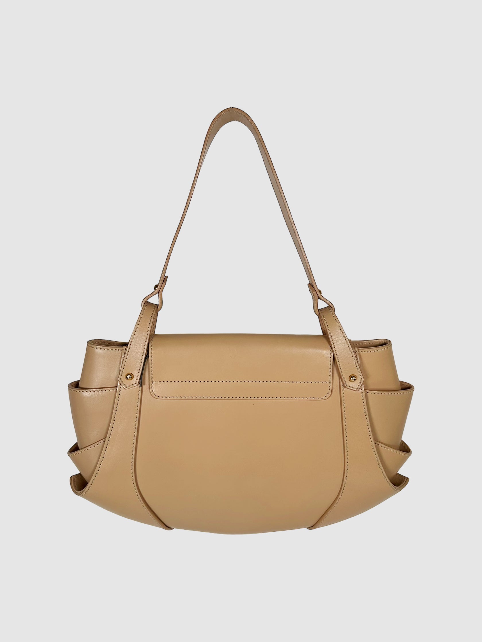 Patent Compilation Hobo Bag