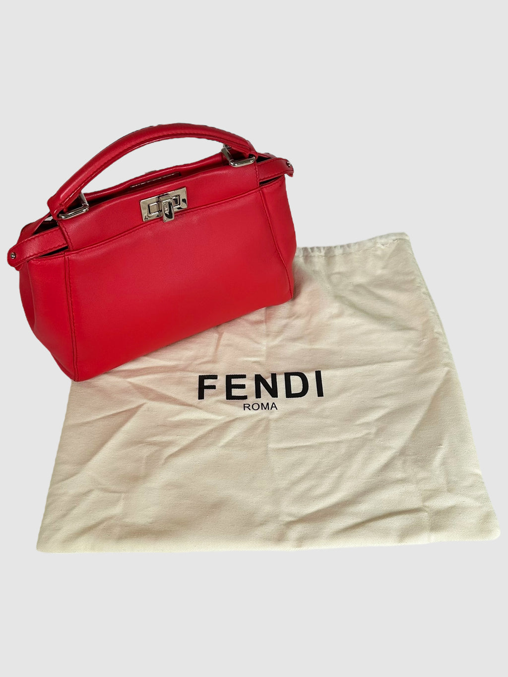 Mini Peekaboo Iconic Bag