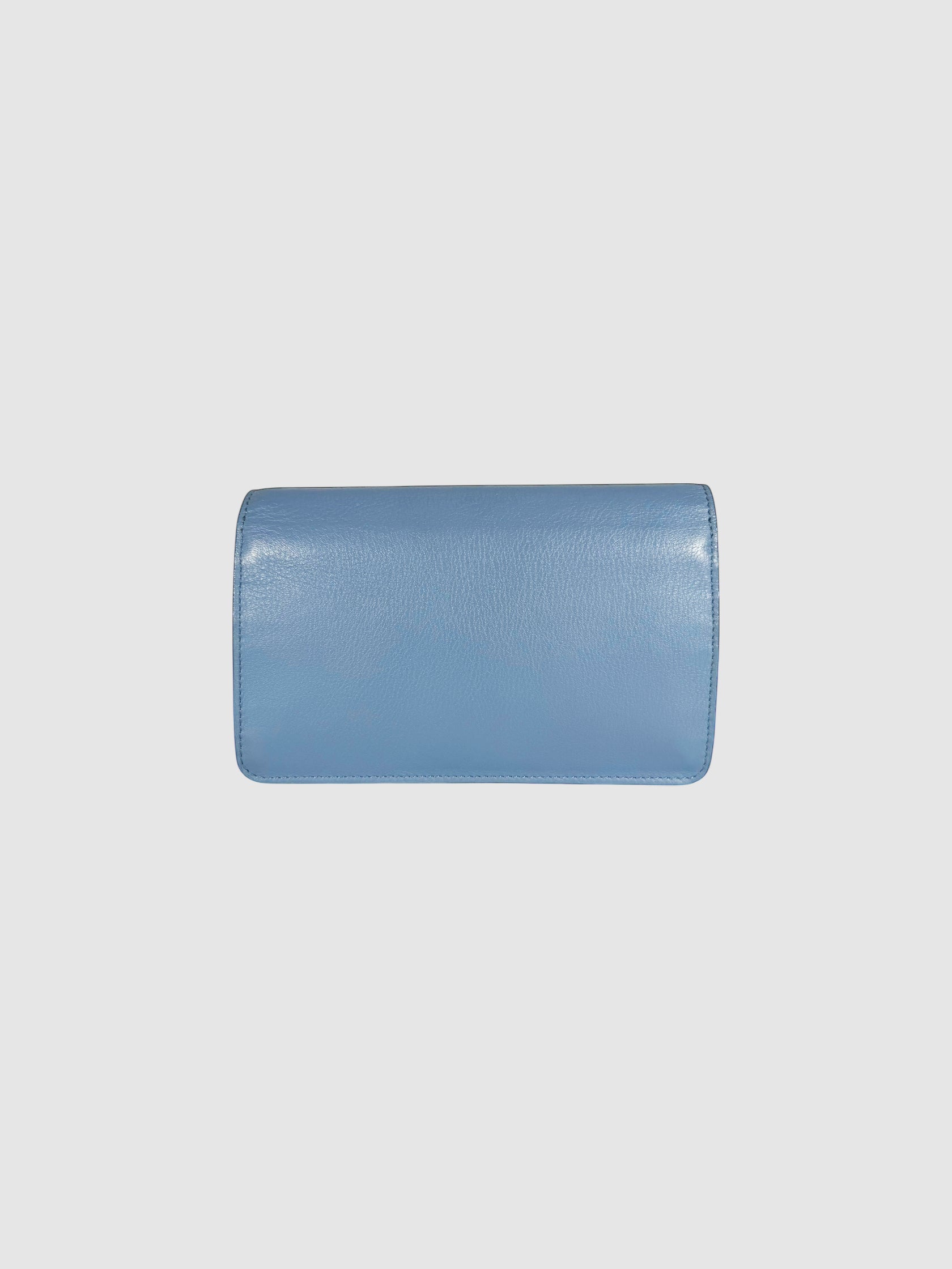 Tube Wallet on Chain