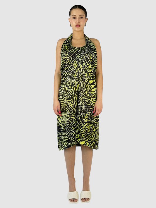 Tiger Print Dress
