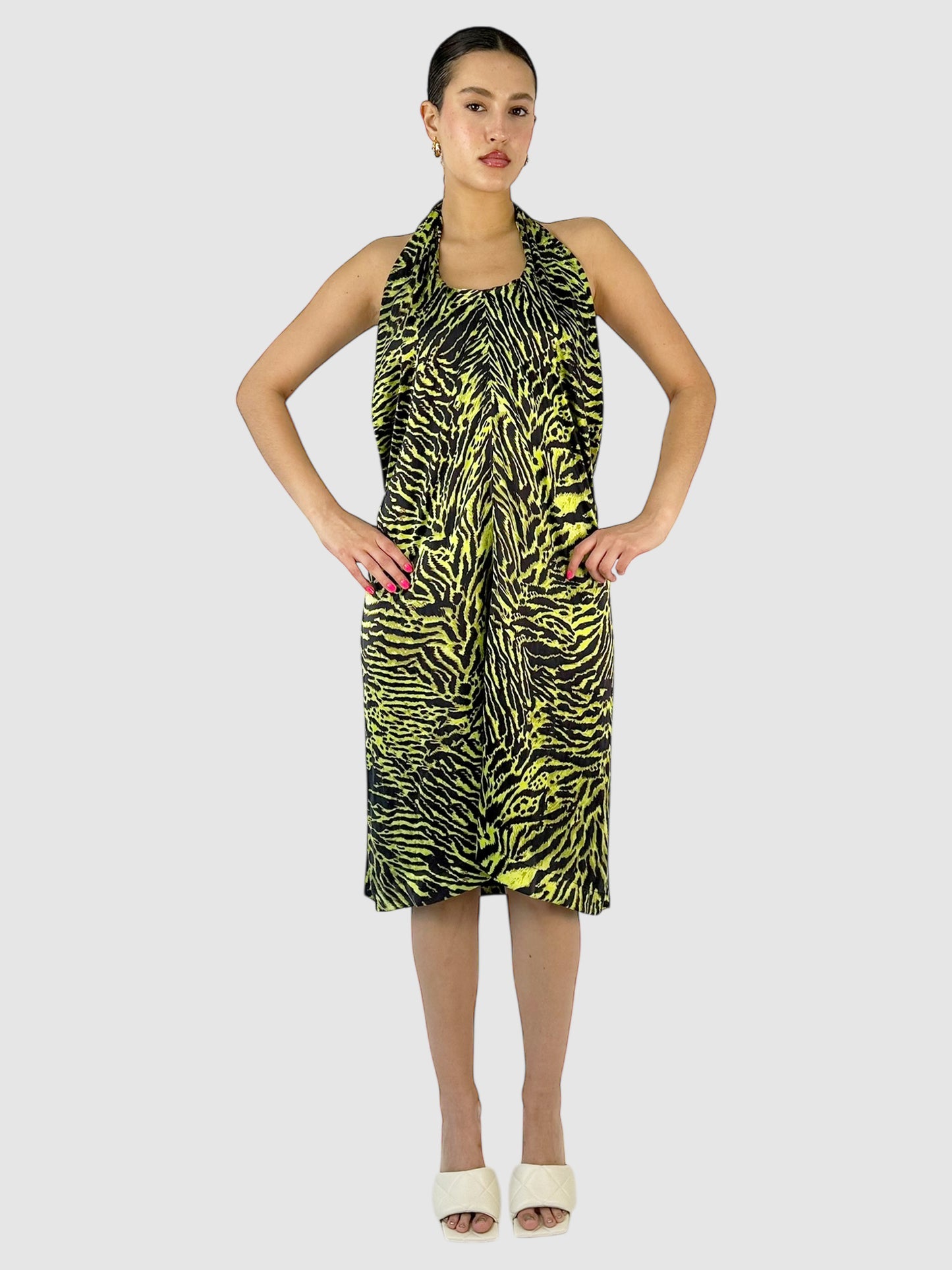 Tiger Print Dress