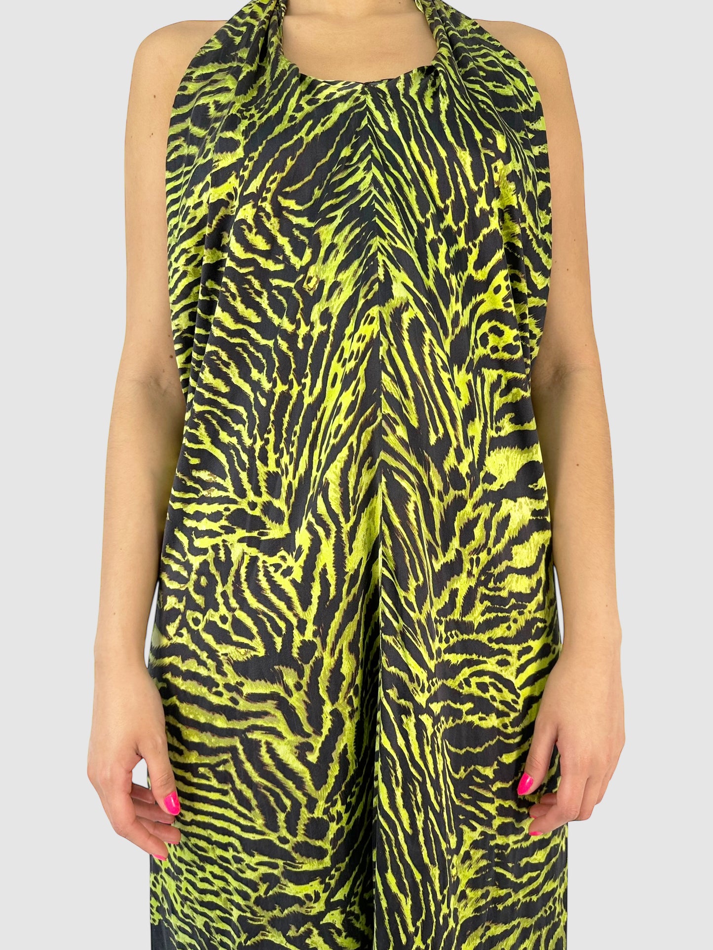 Tiger Print Dress