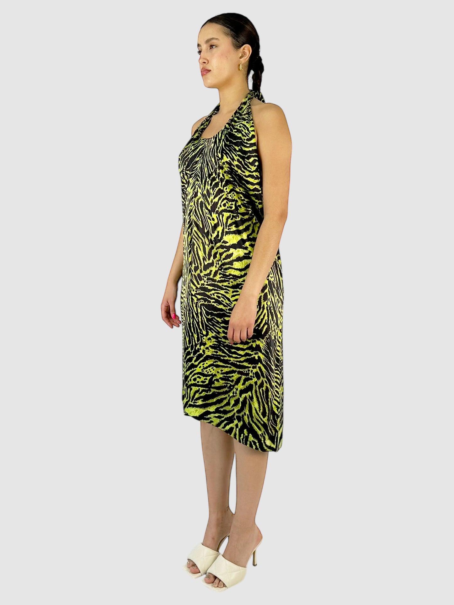 Tiger Print Dress