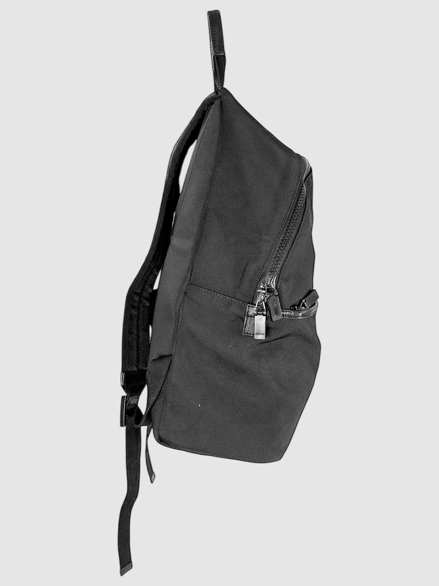 Technocanvas Parana Web Backpack