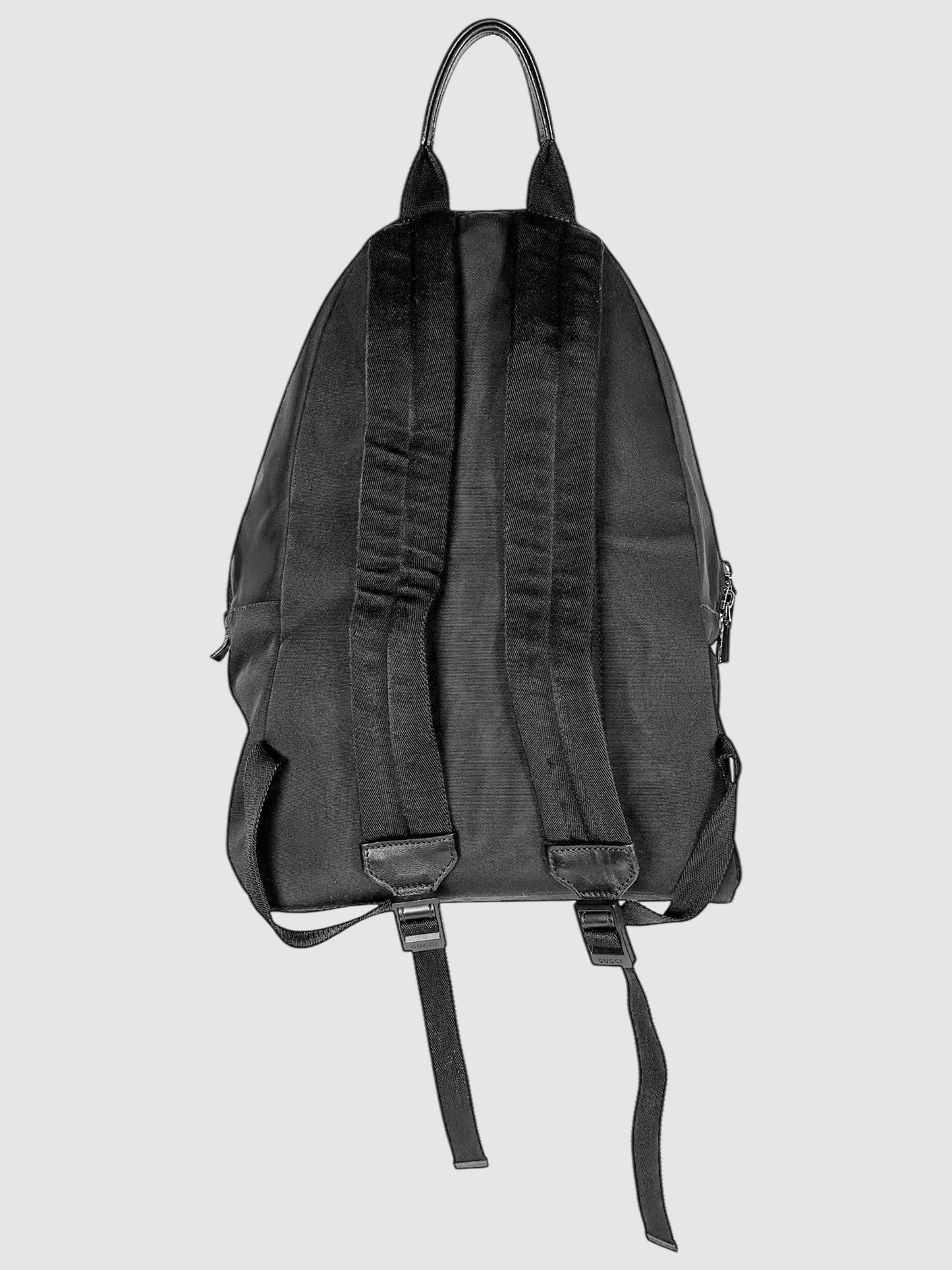 Technocanvas Parana Web Backpack