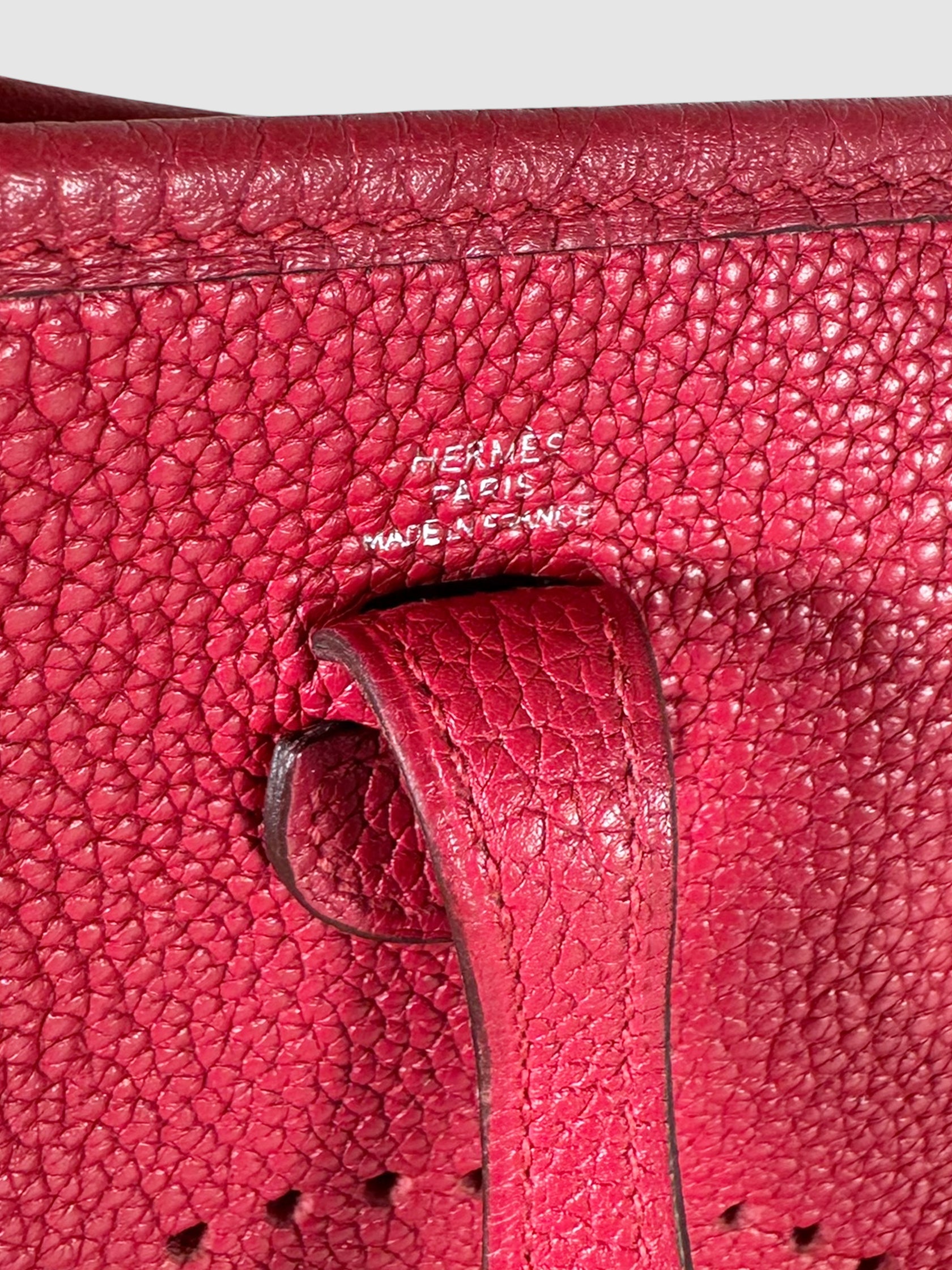 Mini Evelyne 16 Amazone Bag