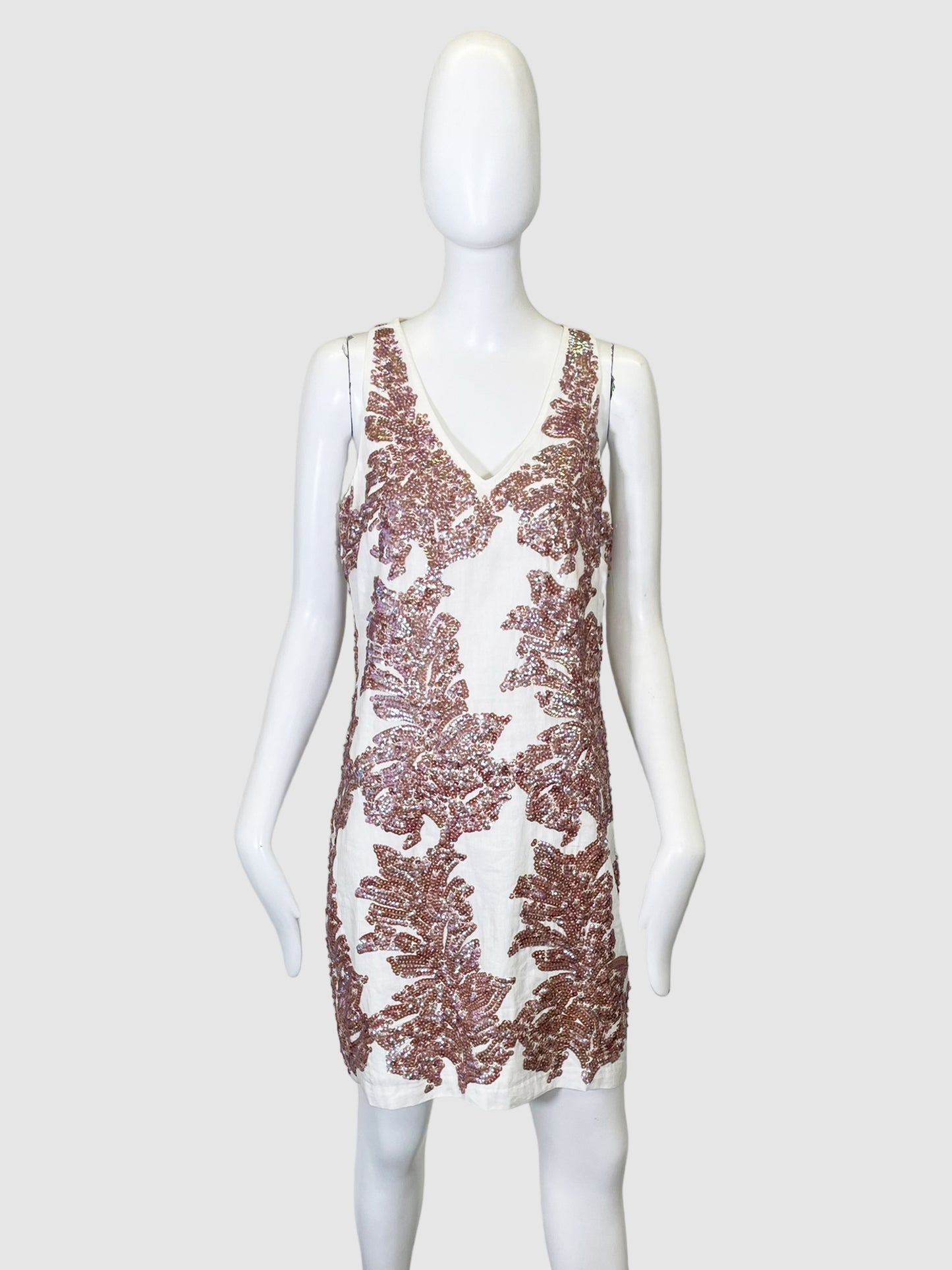 J Crew Sleeveless Sequin Embroidery Dress - Size 6