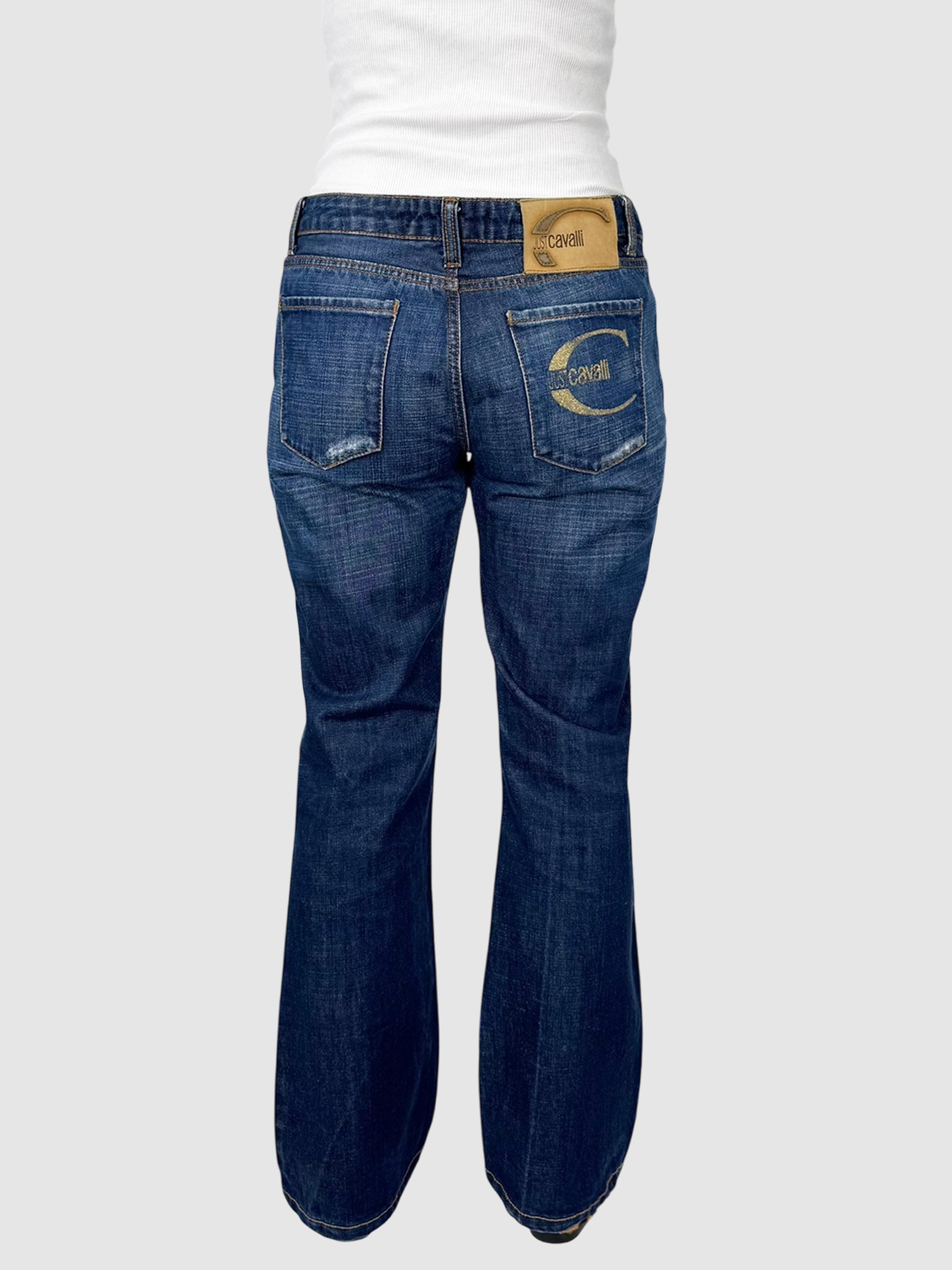 Distressed Low-Rise Jeans