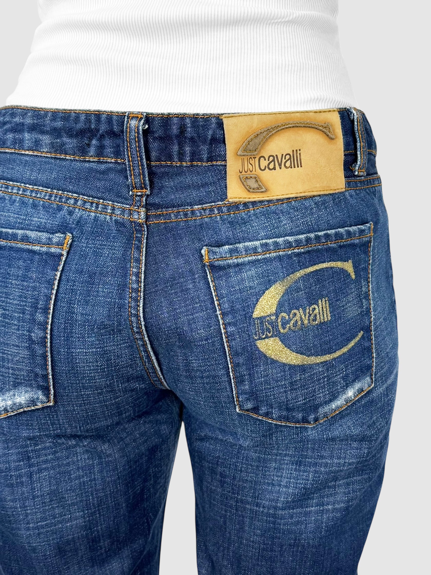 Distressed Low-Rise Jeans