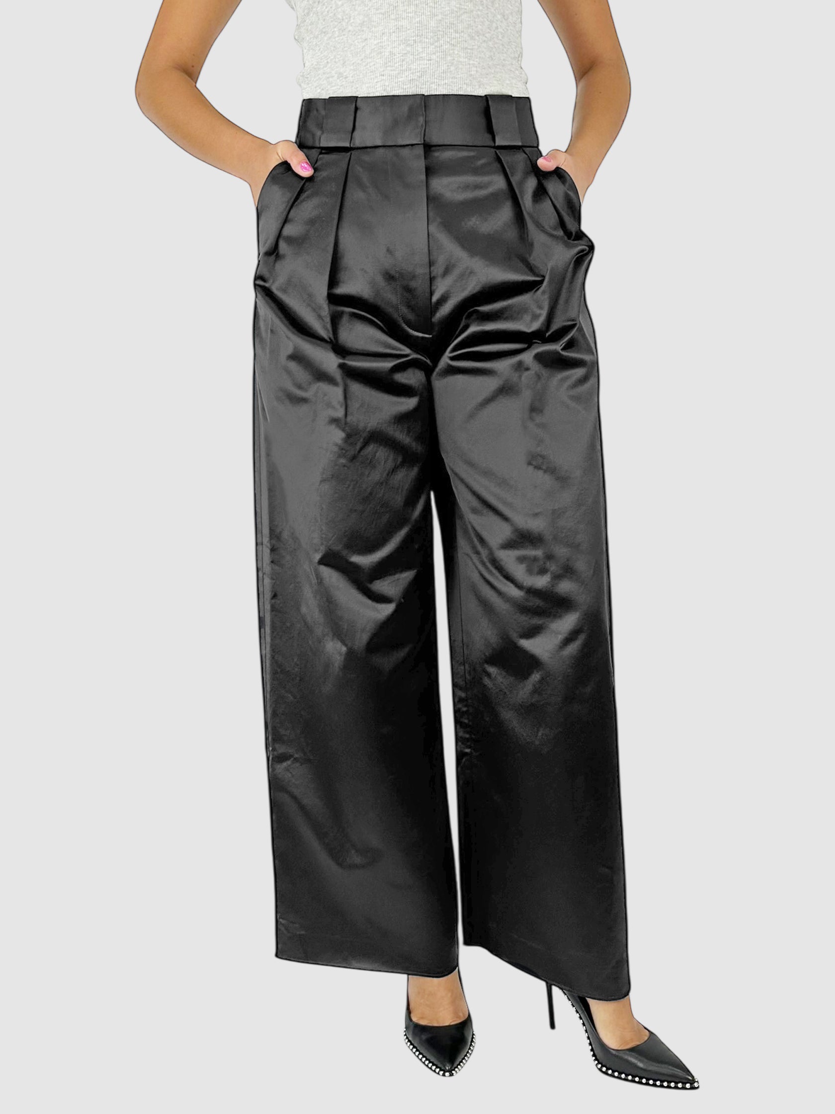 Pleated Wide Leg Pants
