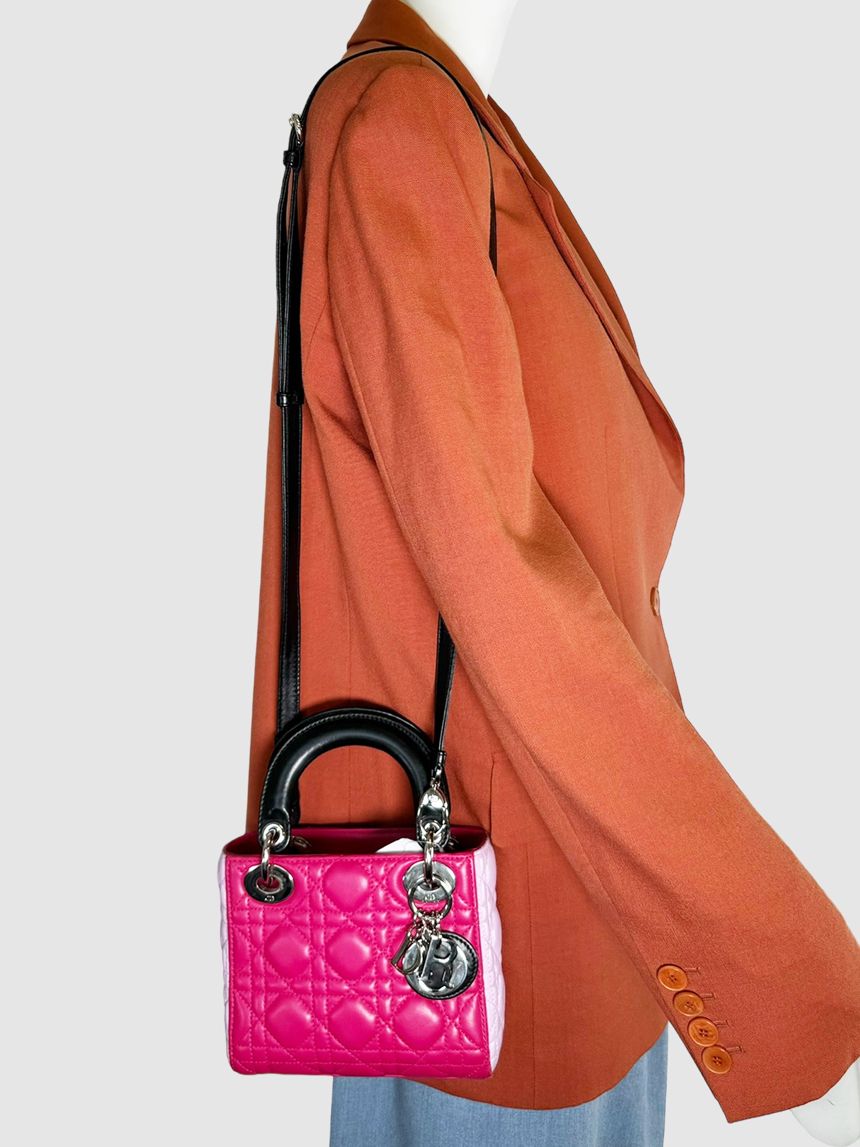 Tri Colour Small Lady Dior Bag
