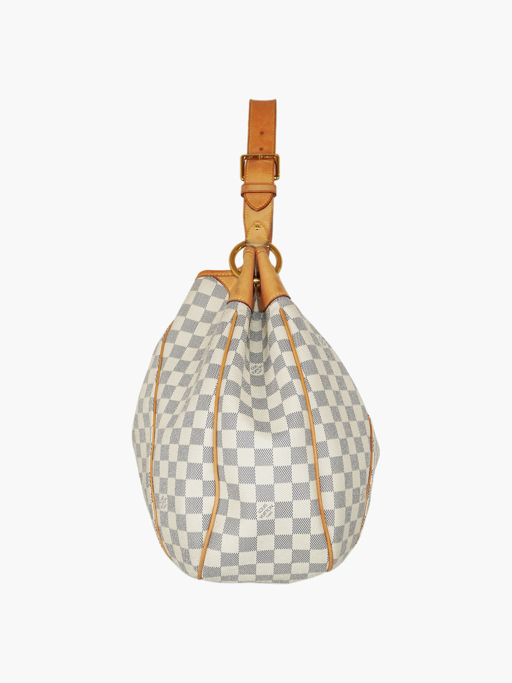 Galleria PM Hobo Bag