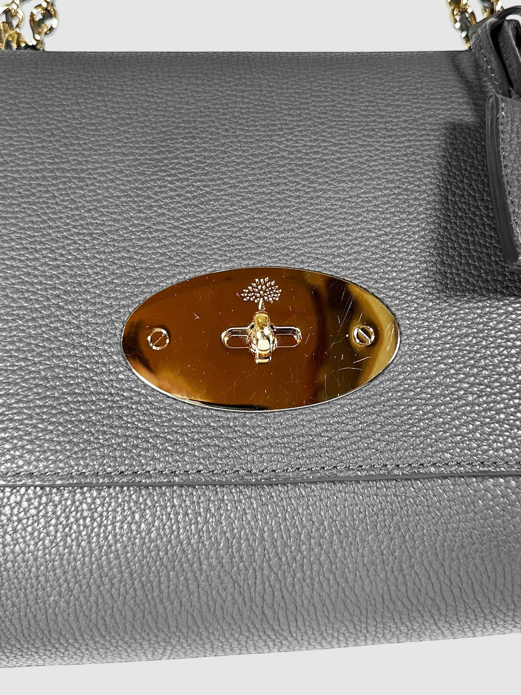 Medium Lily Flap Bag