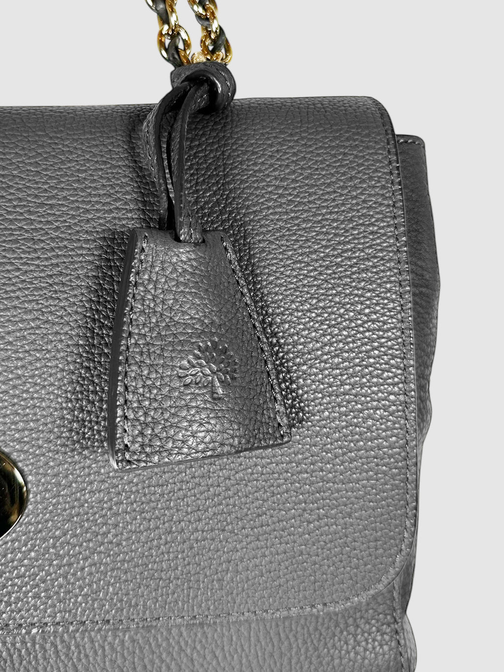 Medium Lily Flap Bag