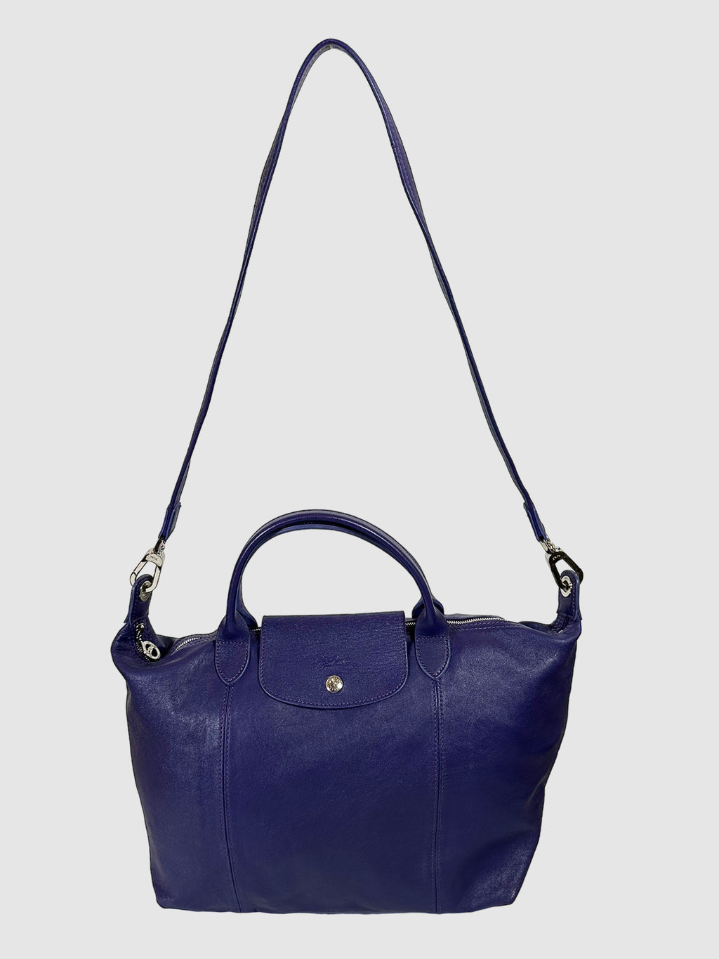 Le Pliage Leather Tote Bag