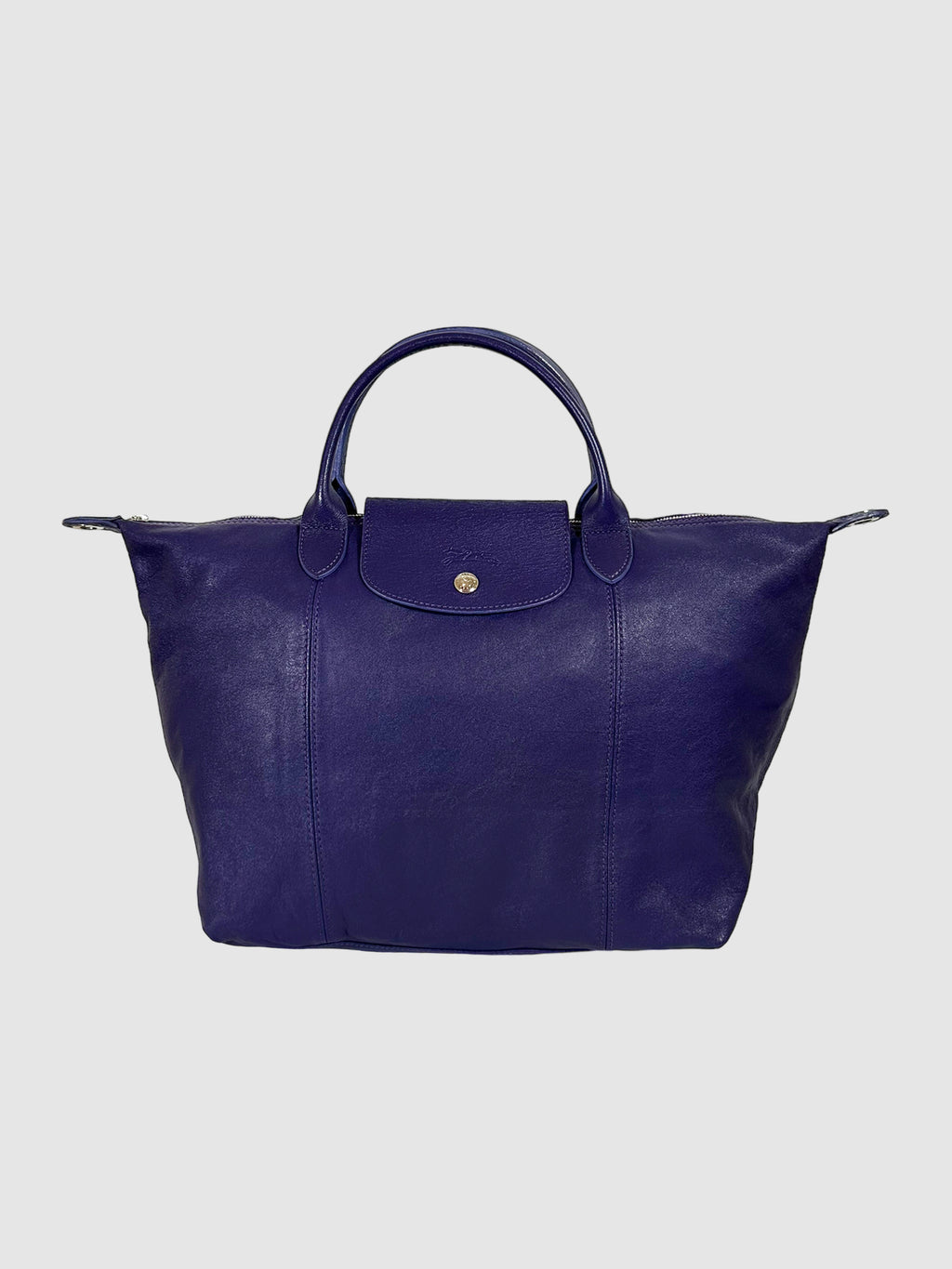 Le Pliage Leather Tote Bag