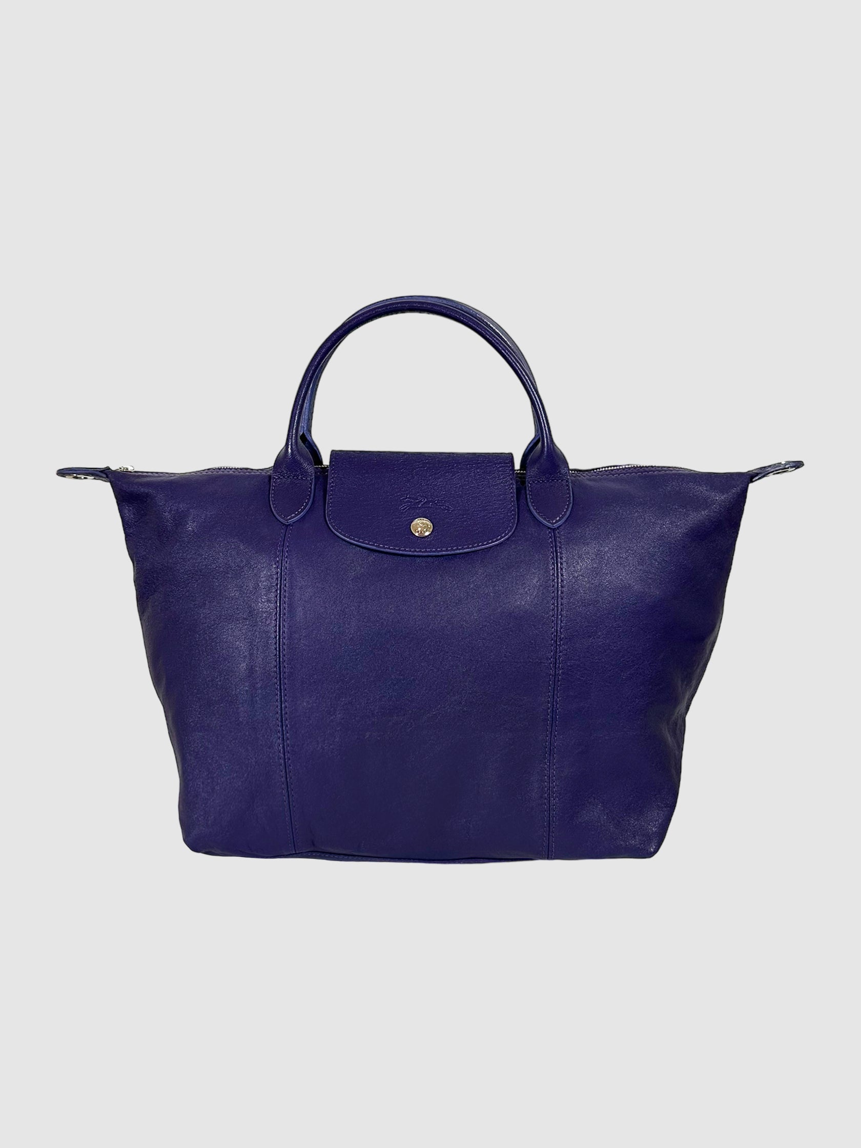 Le Pliage Leather Tote Bag