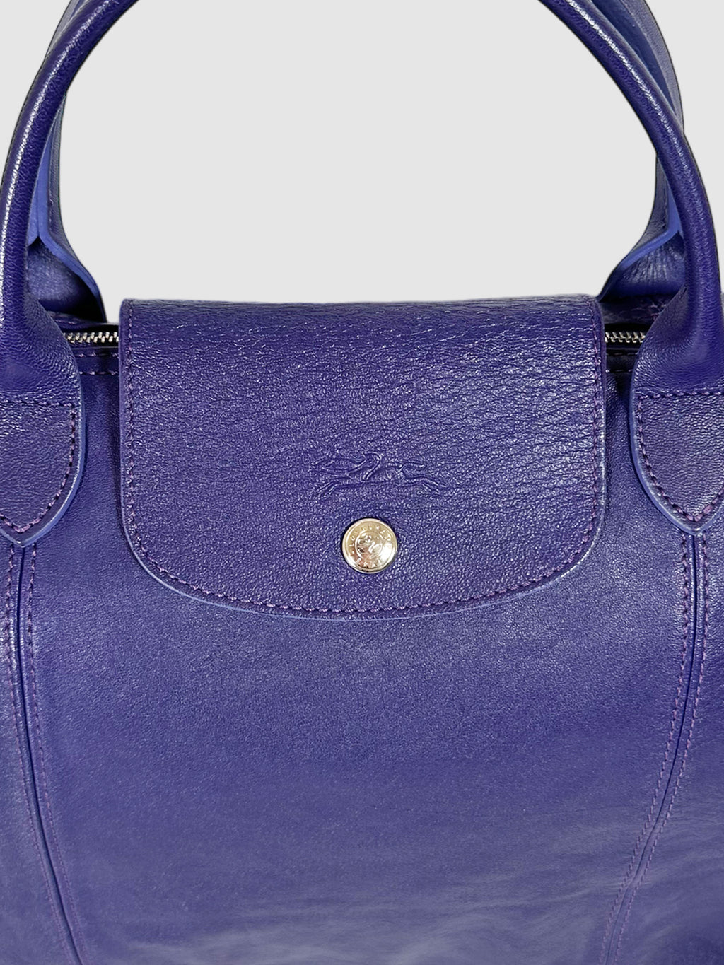 Le Pliage Leather Tote Bag