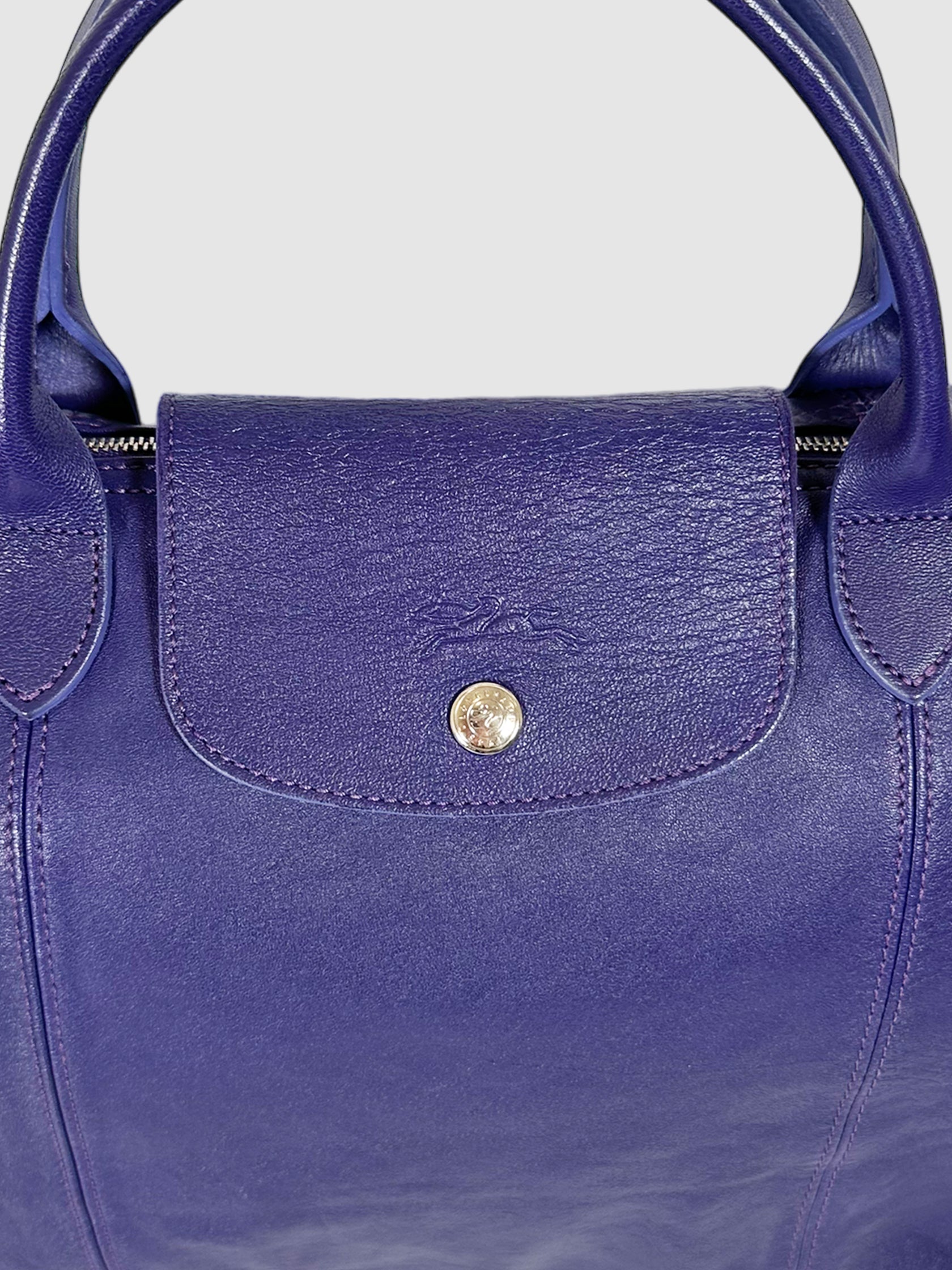 Le Pliage Leather Tote Bag