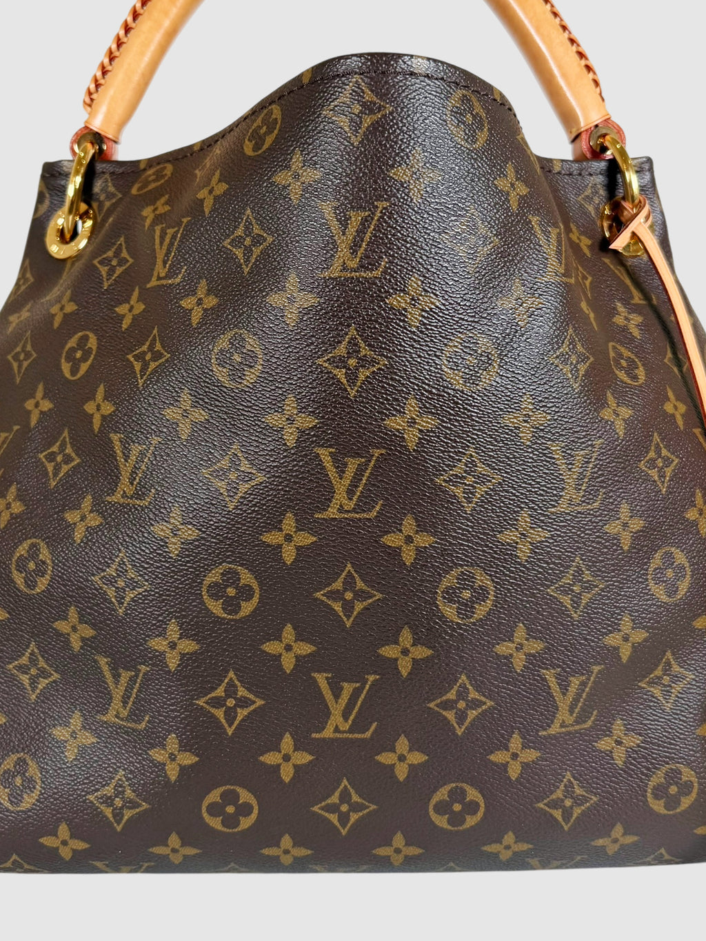 Artsy MM Hobo Bag