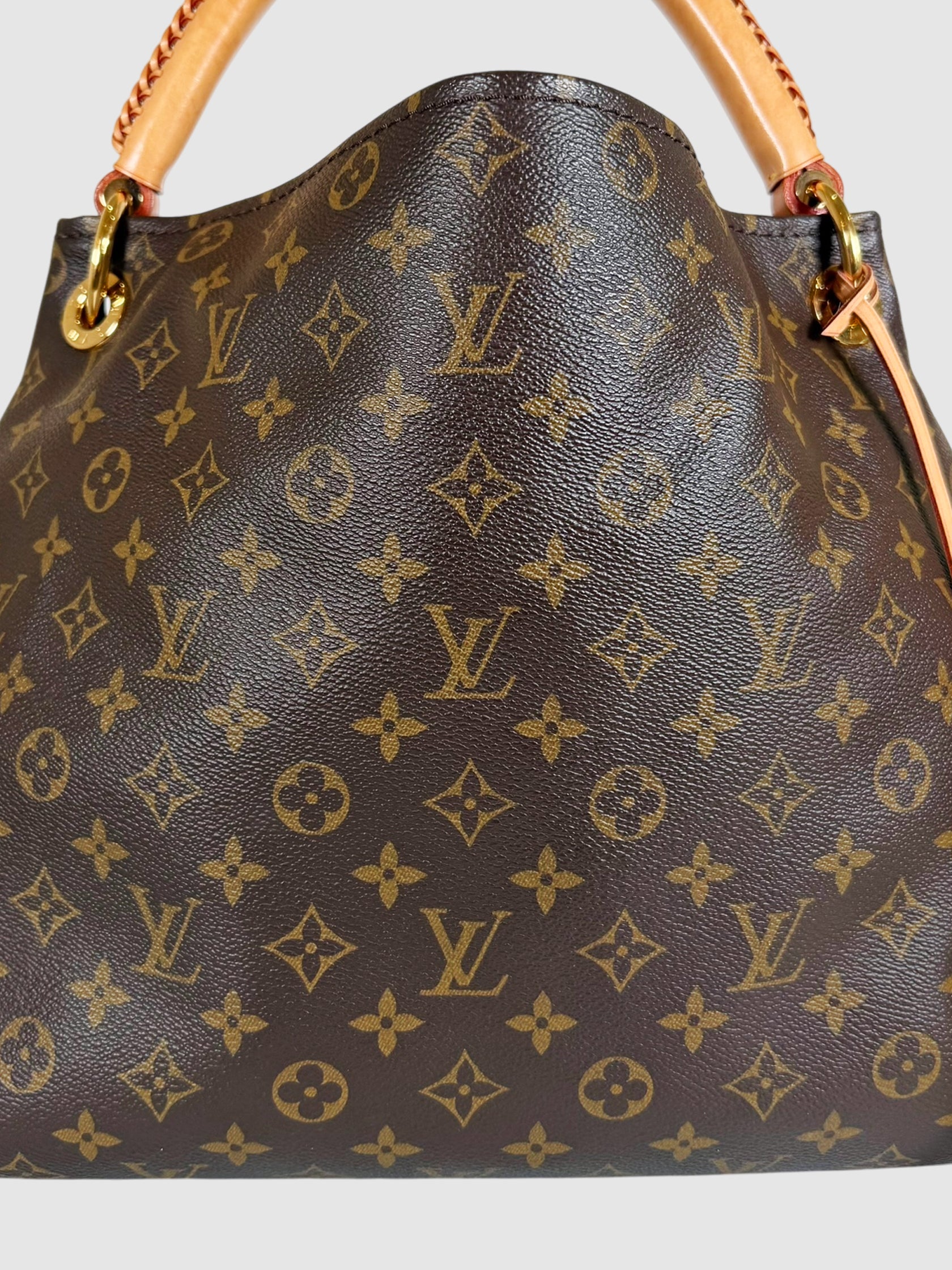 Artsy MM Hobo Bag